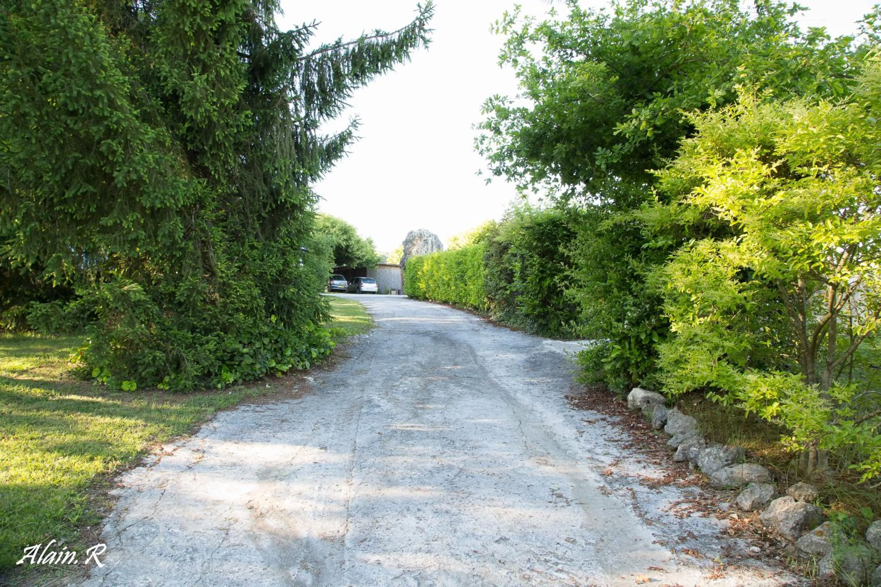 Garden in PARADISE CHALLETS AND CAMPING