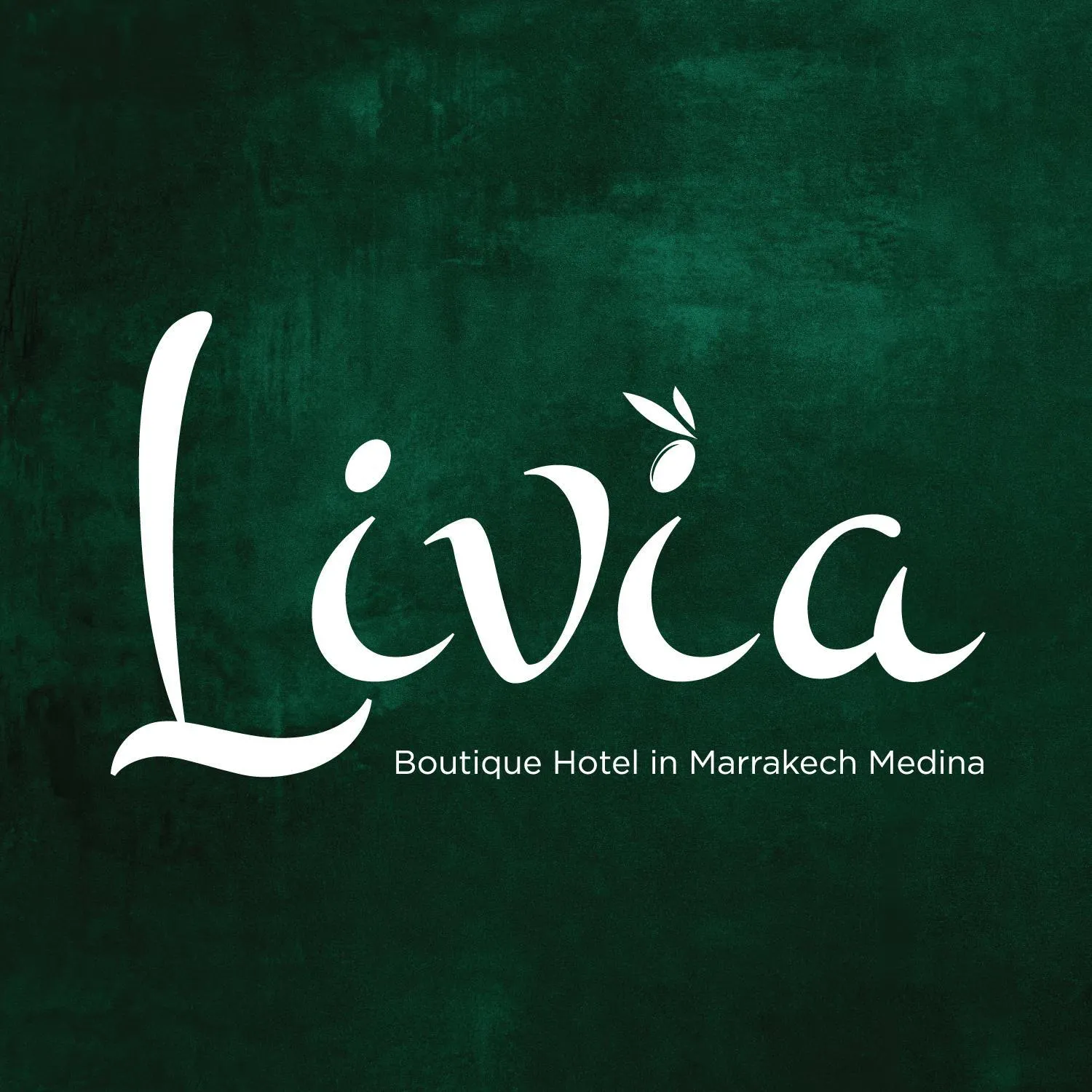 Logo/Certificate/Sign in Riad Livia Marrakech - Adults Only