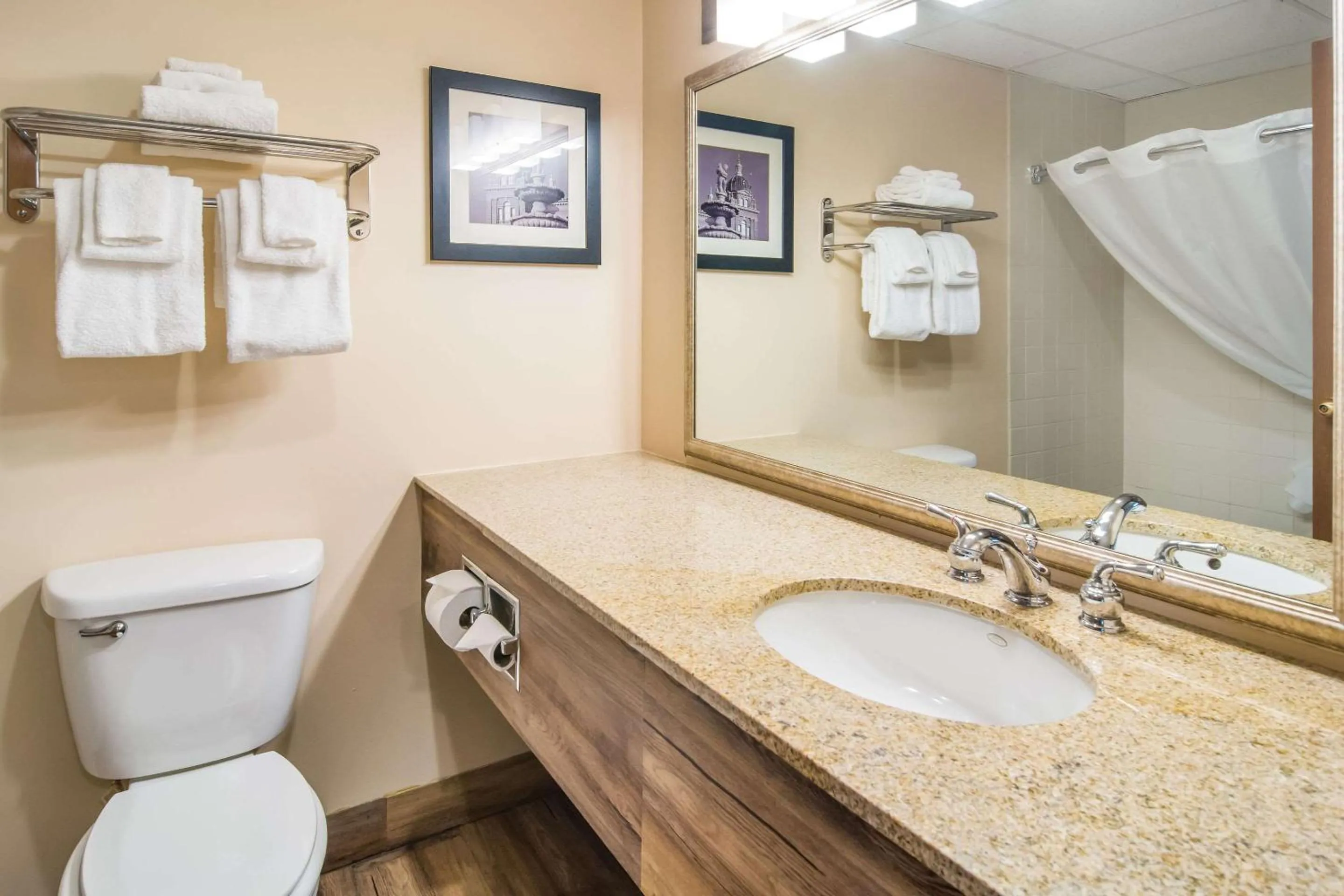 Bathroom in Quality Inn & Suites