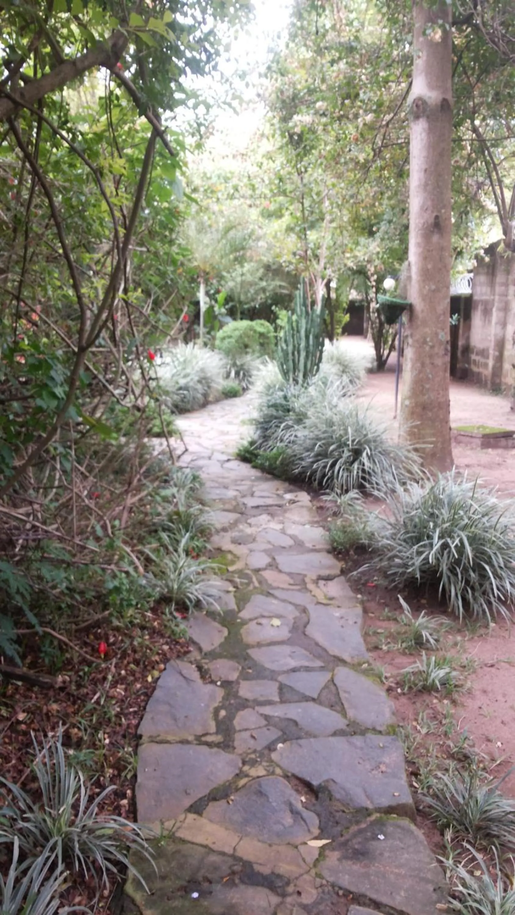 Natural landscape in White Castle Hotel Arua