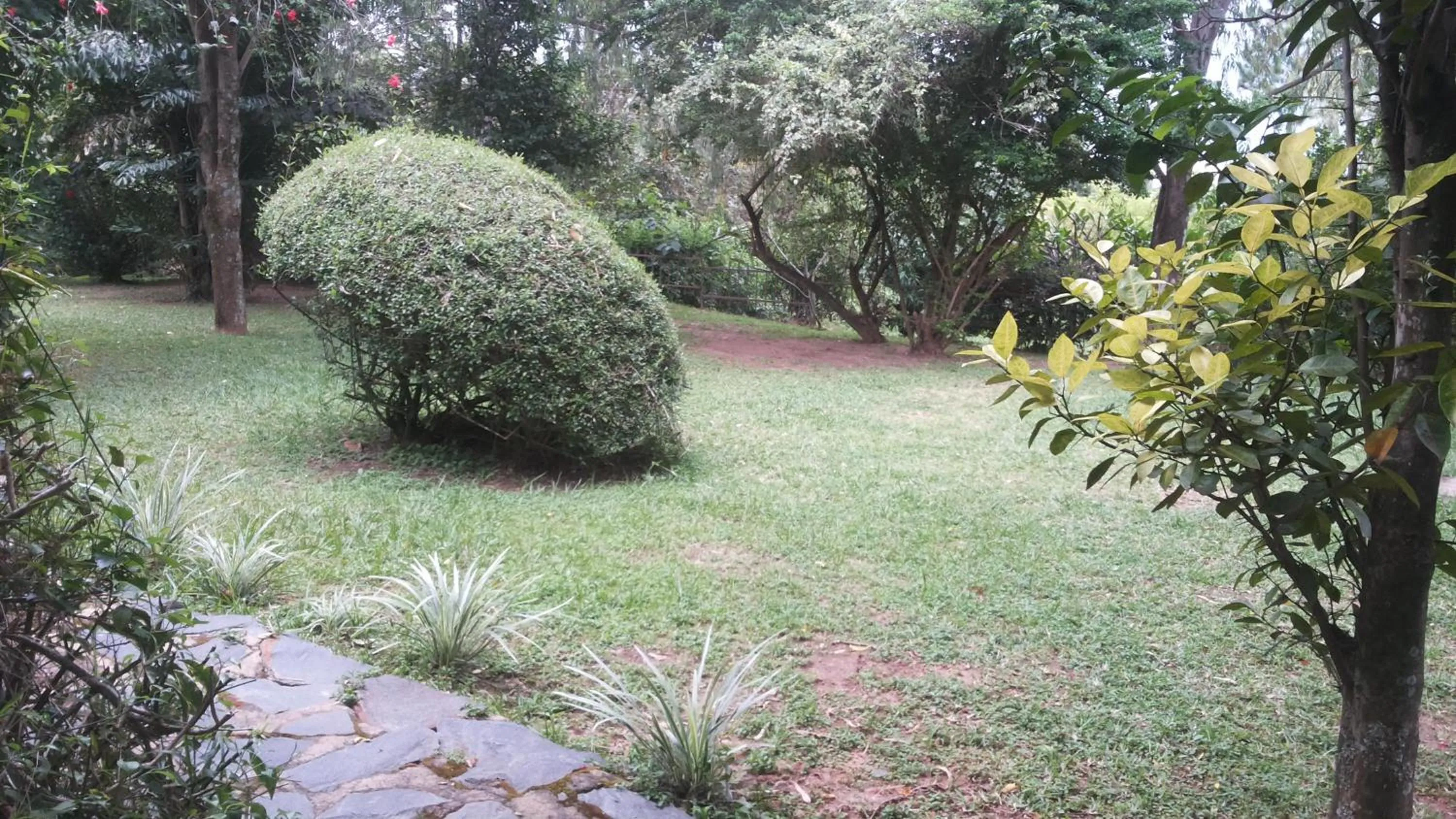 Garden in White Castle Hotel Arua