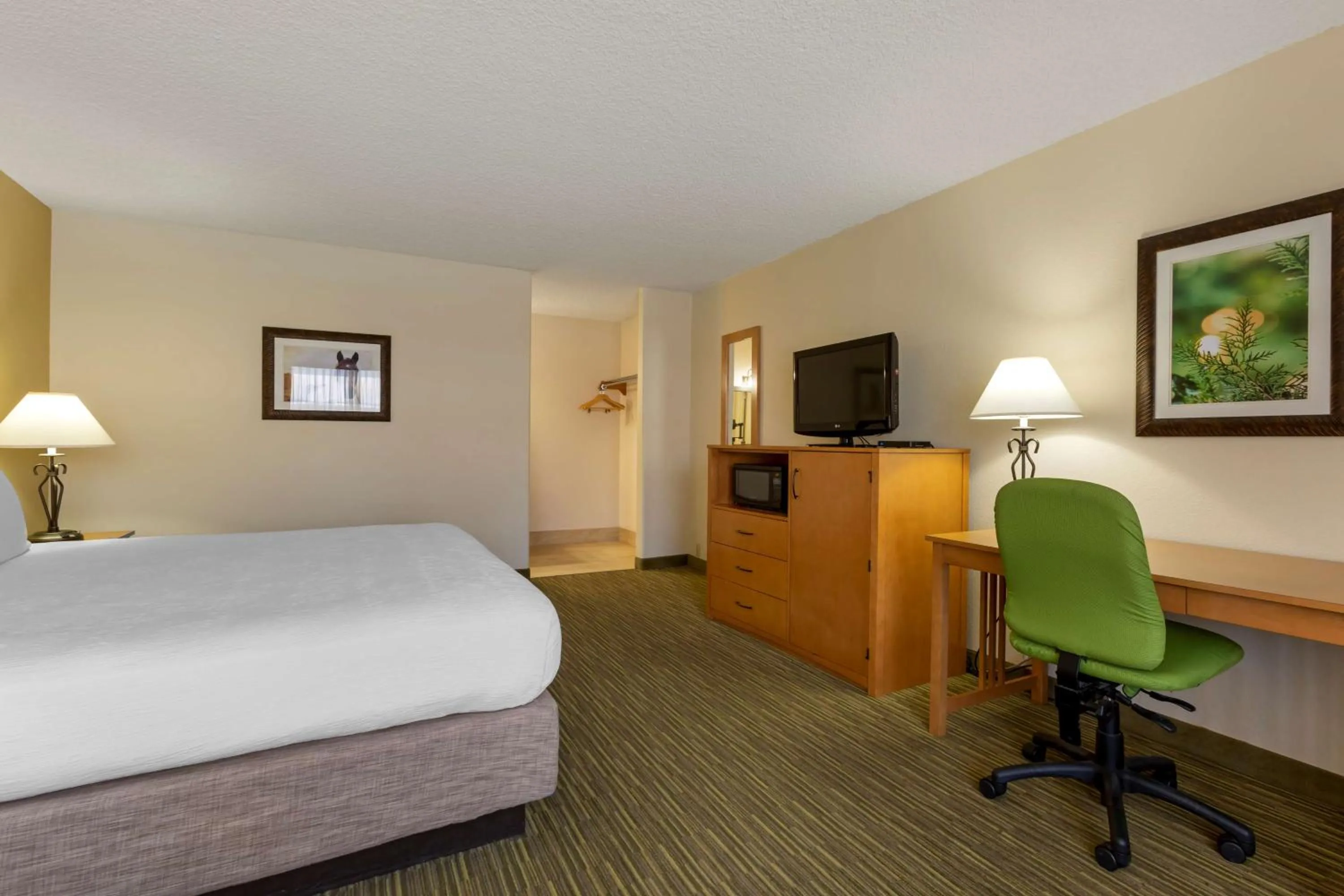 Bedroom, Bed in Best Western Paint Pony Lodge