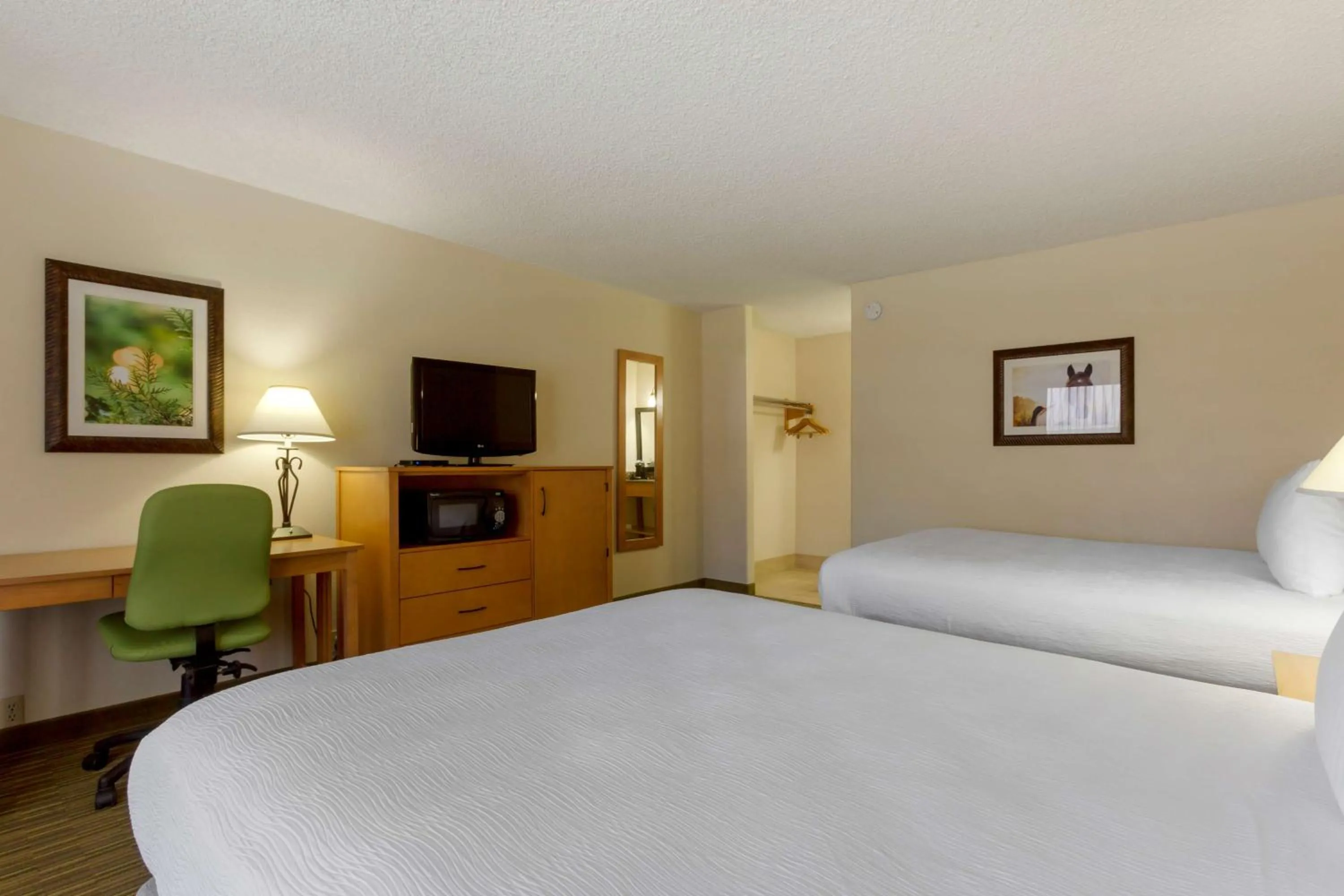 Bedroom, Bed in Best Western Paint Pony Lodge