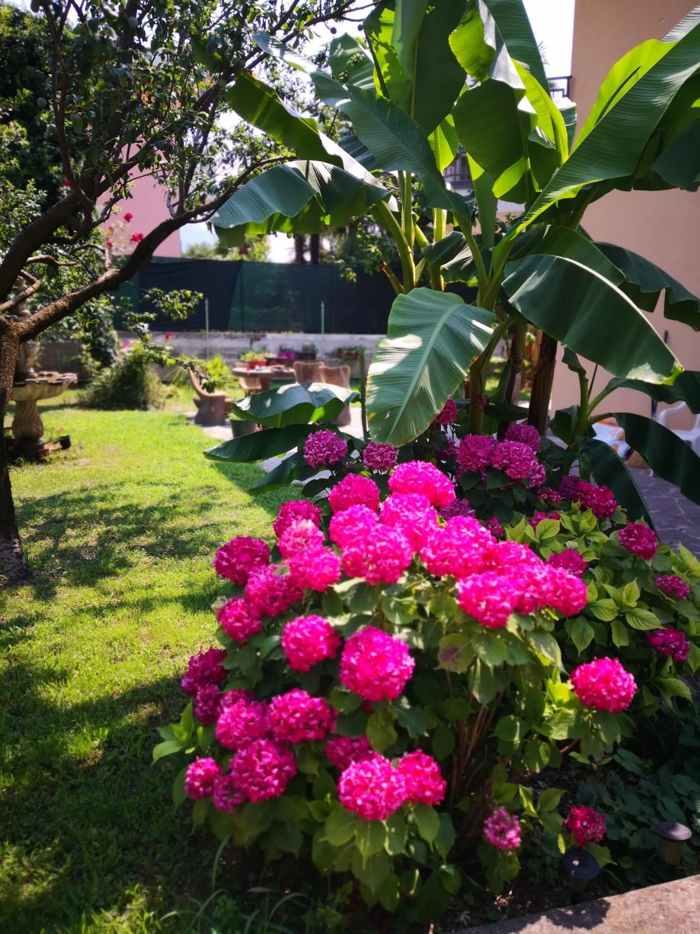Garden in B&B Esmeralda