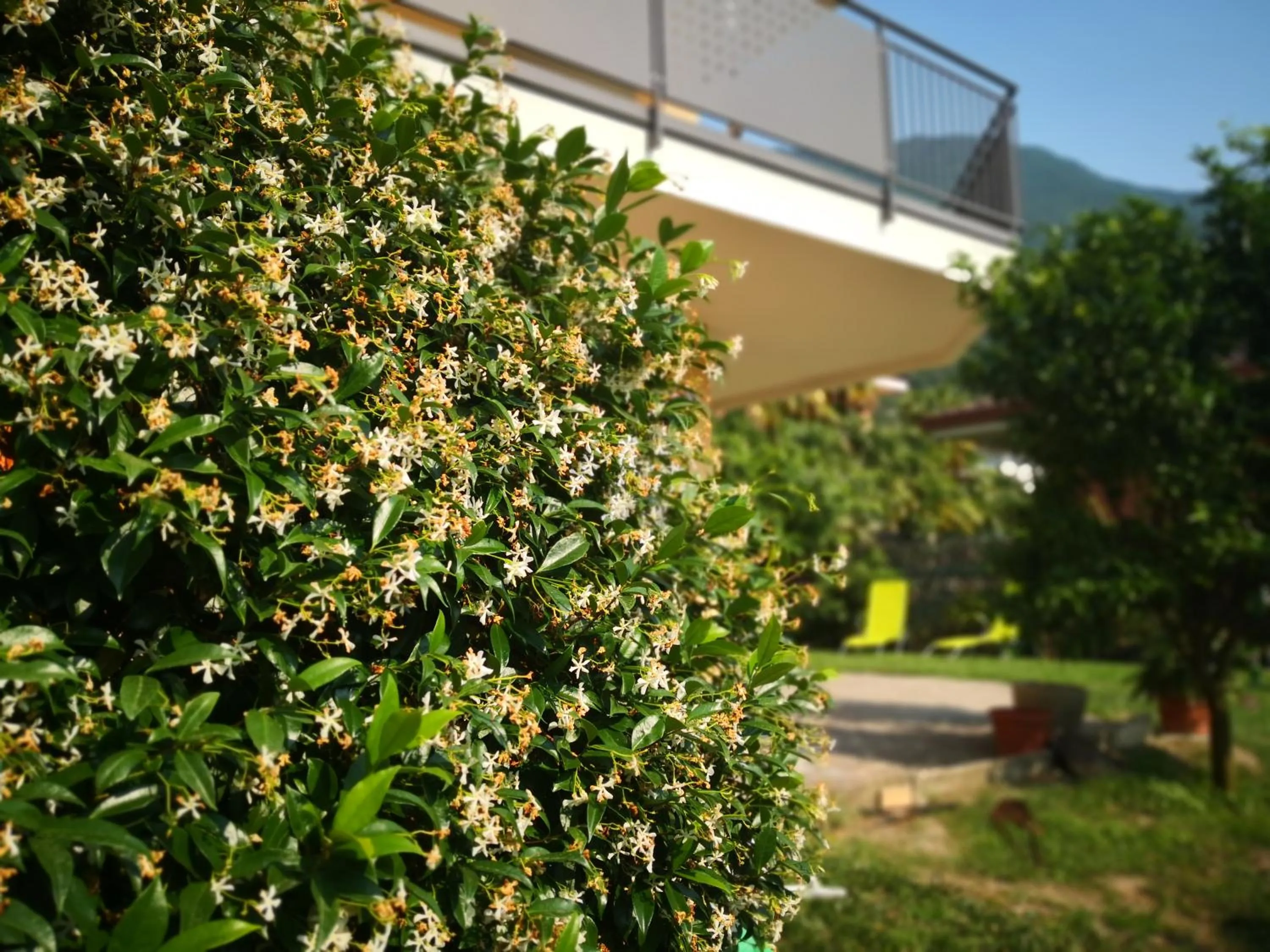 Patio in B&B Esmeralda