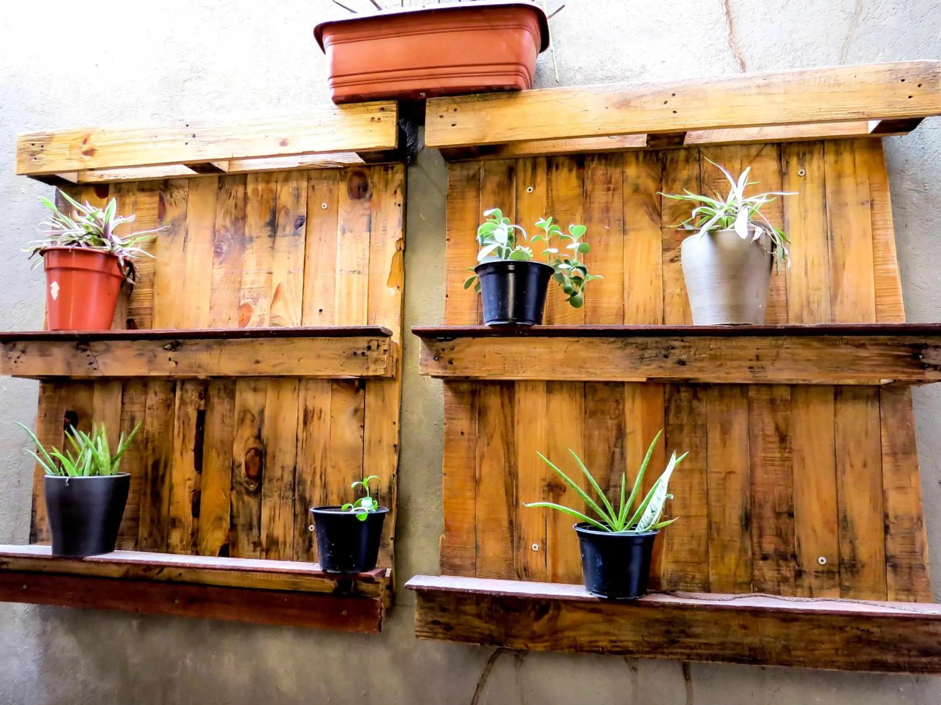 Swimming pool in Casa Perpetua Hotel D Charm