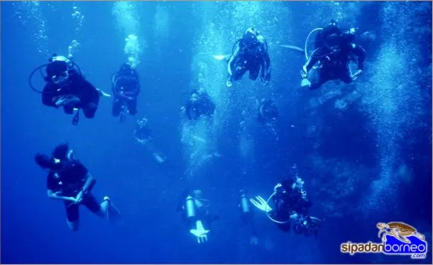 Activities in Mabul Backpackers