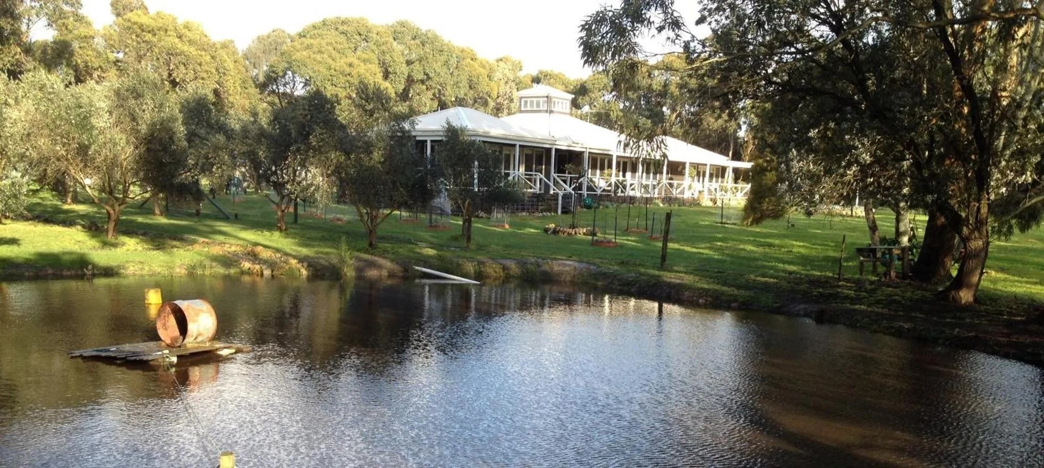 Property building in Olivi