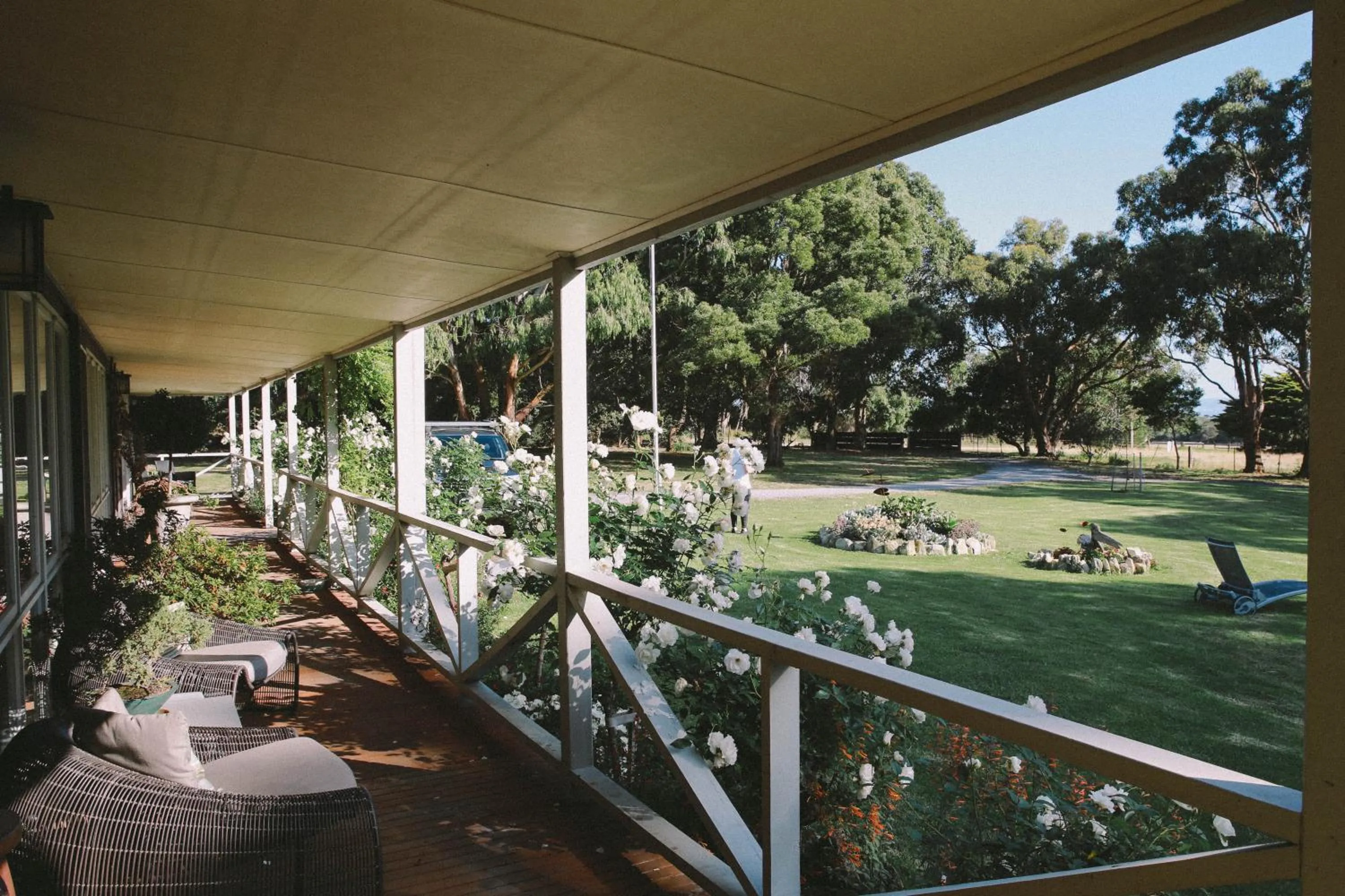 Balcony/Terrace in Olivi