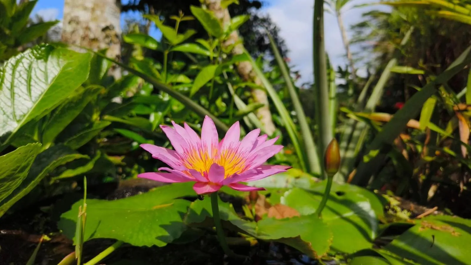 Other in Rumah Irak et Kadek Bali