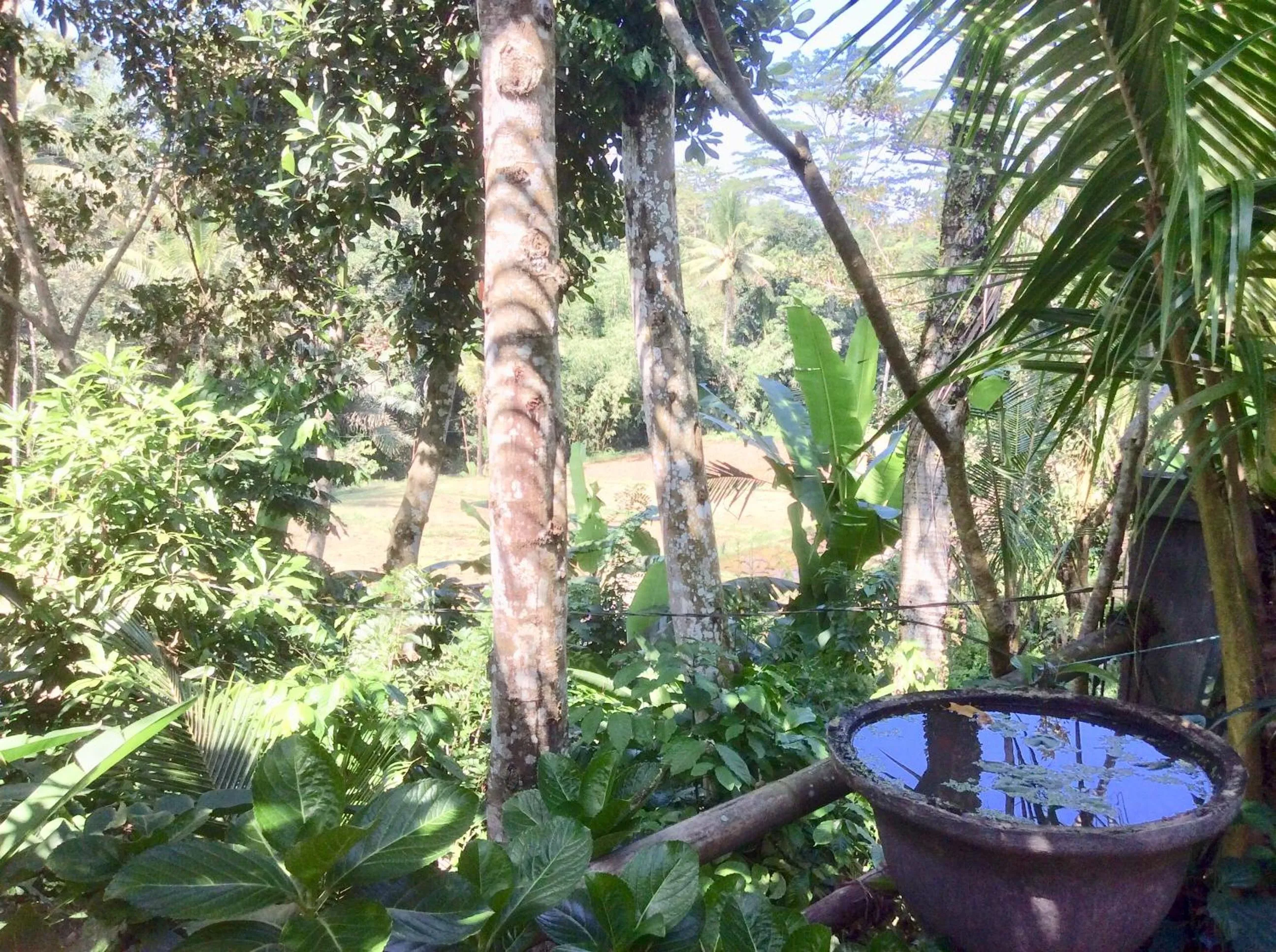 Property building in Rumah Irak et Kadek Bali