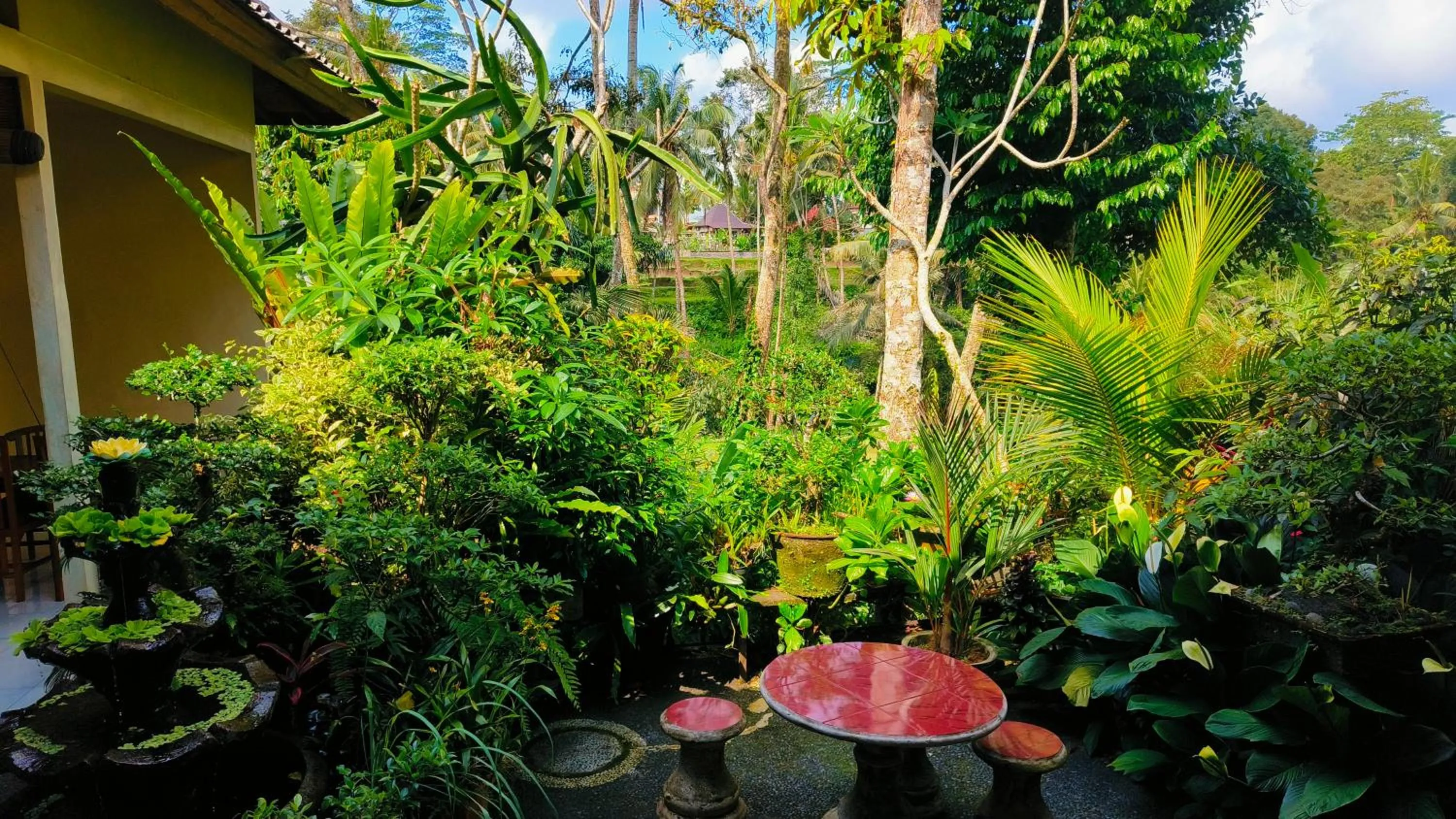 Natural landscape in Rumah Irak et Kadek Bali