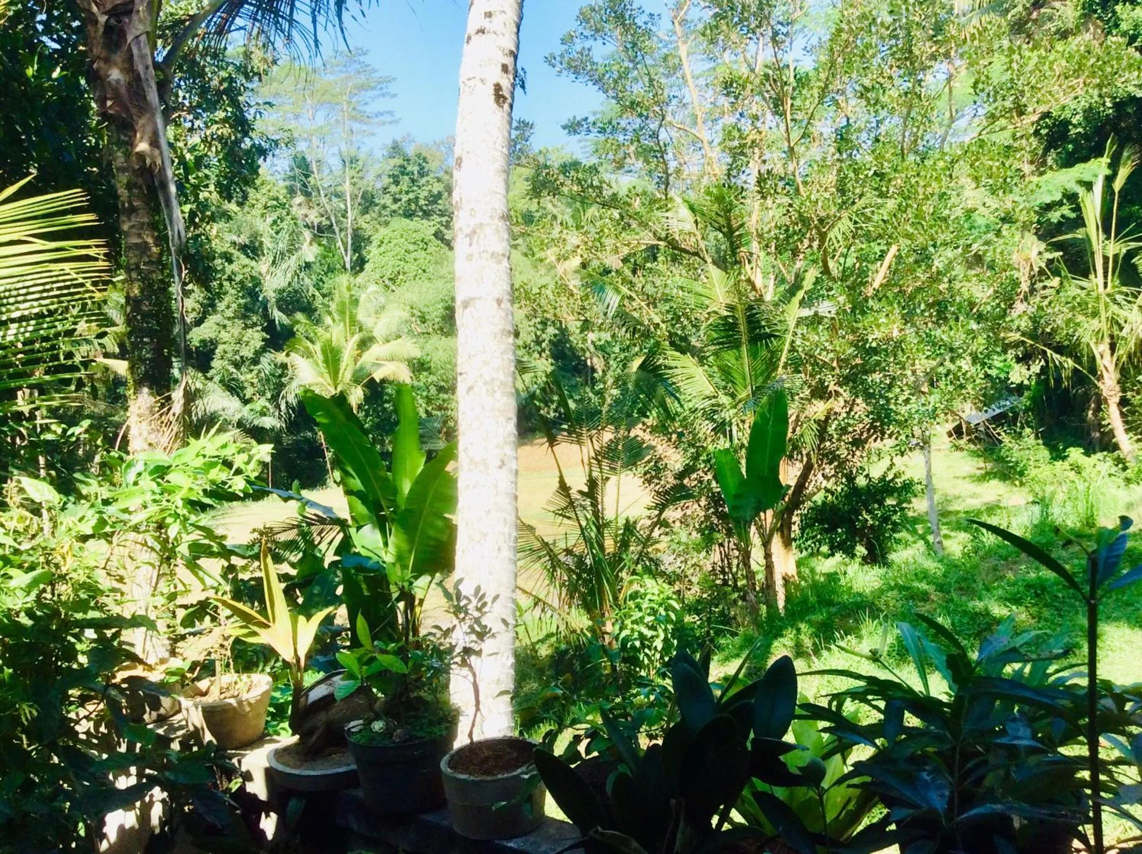 Day in Rumah Irak et Kadek Bali