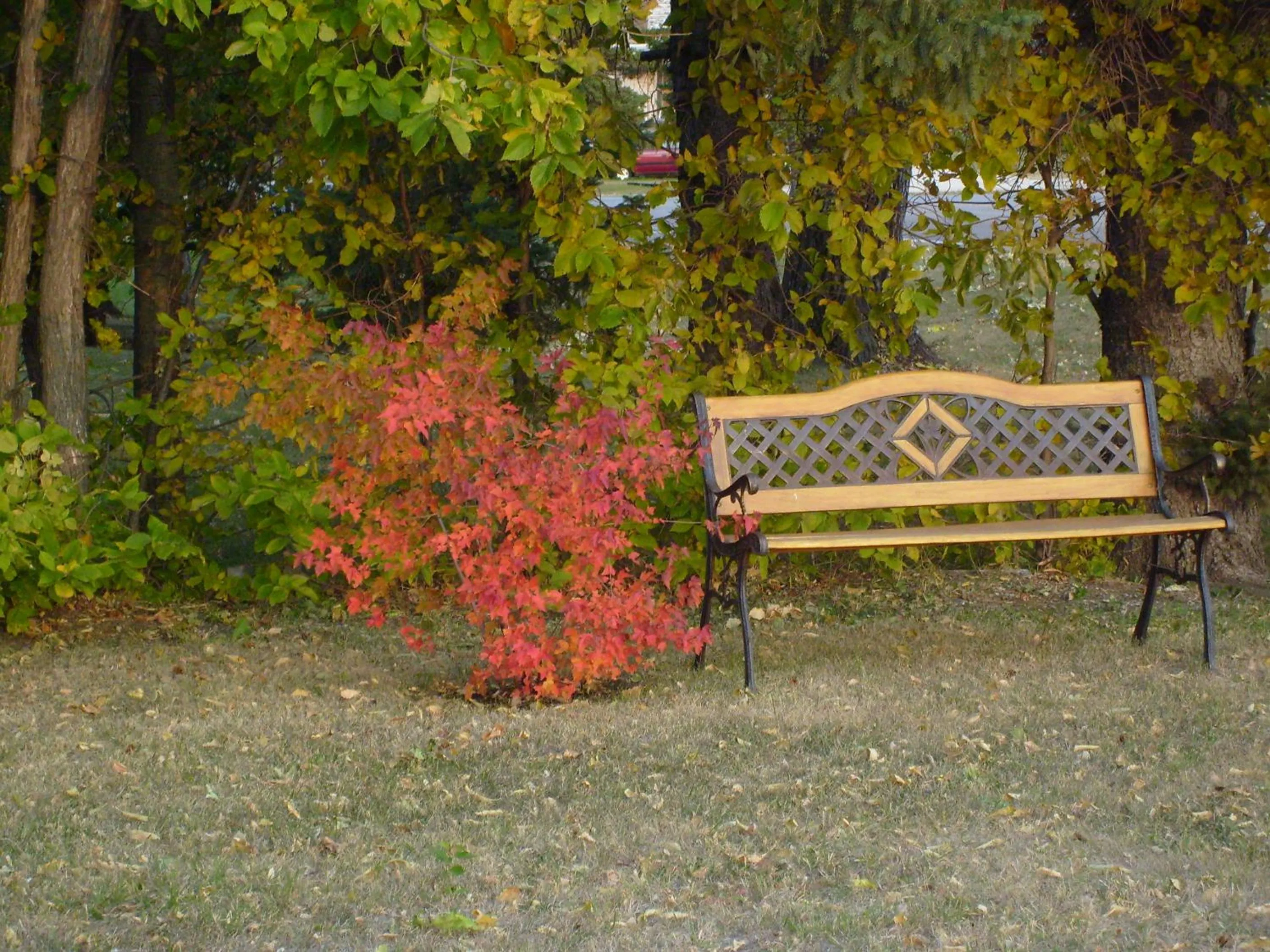 Garden in Maple Leaf Motel Emerson