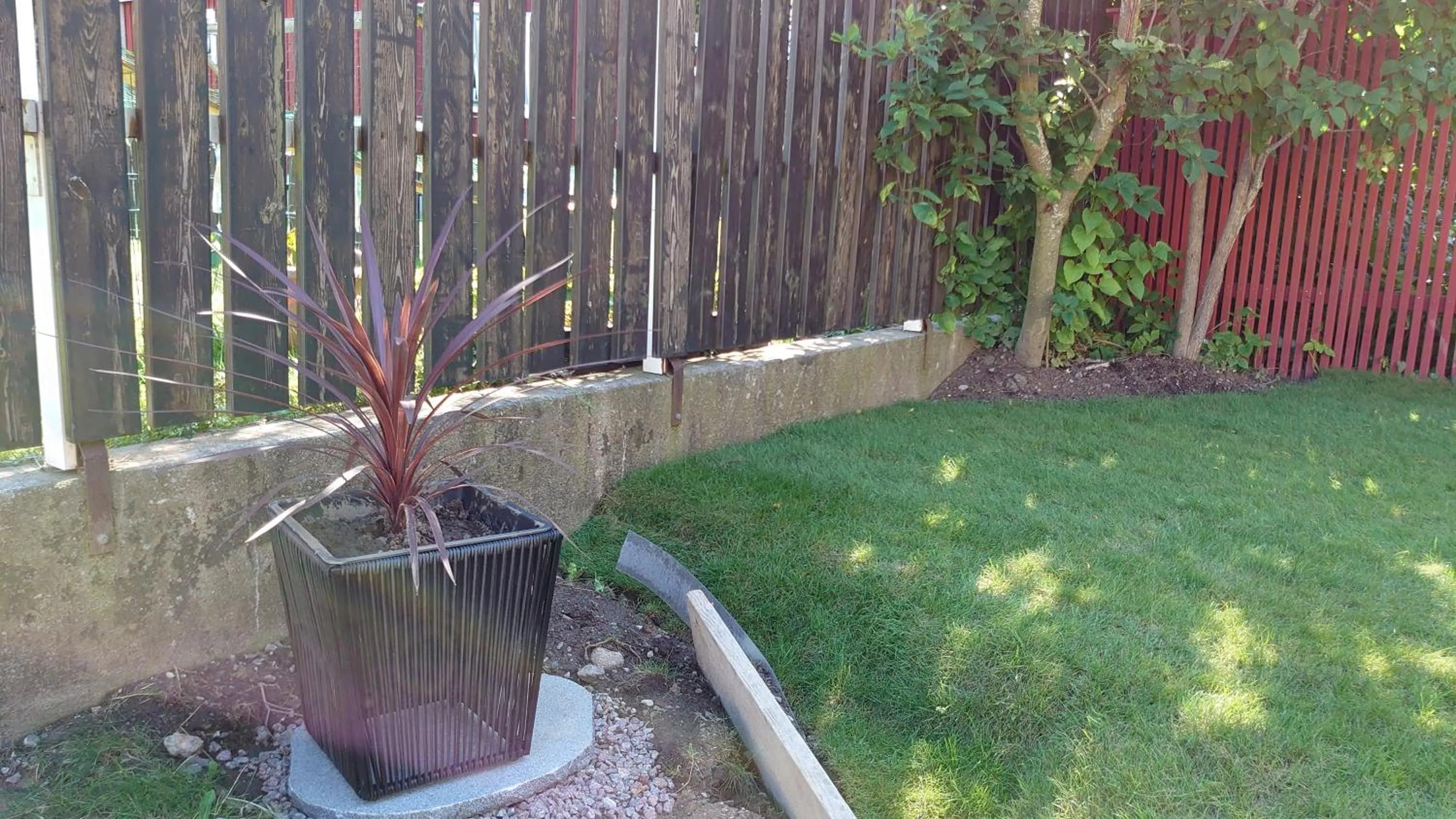 Garden in Simones Hotel