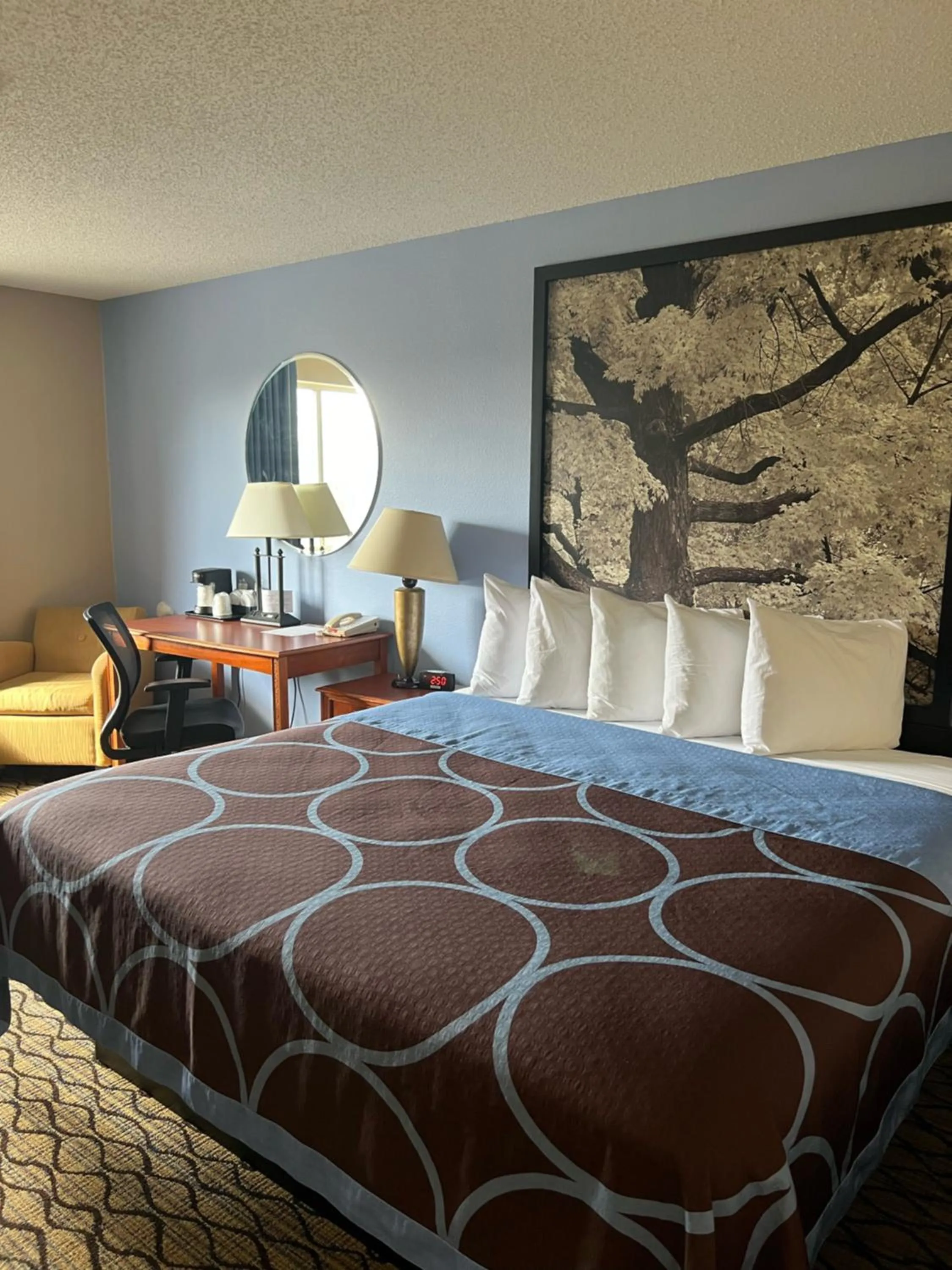 Living room, Bed in Super 8 by Wyndham Adrian