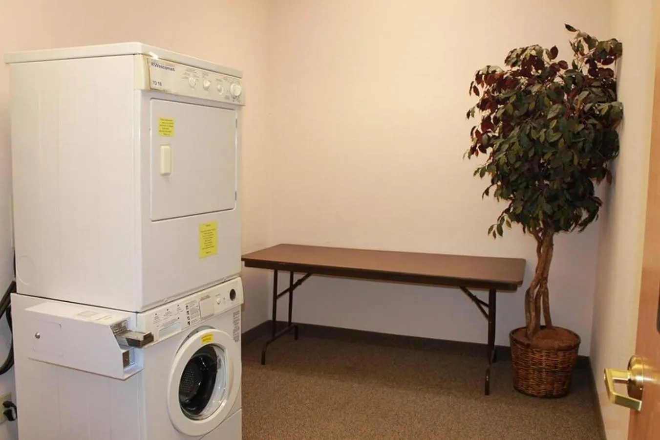 laundry in Edmore Inn