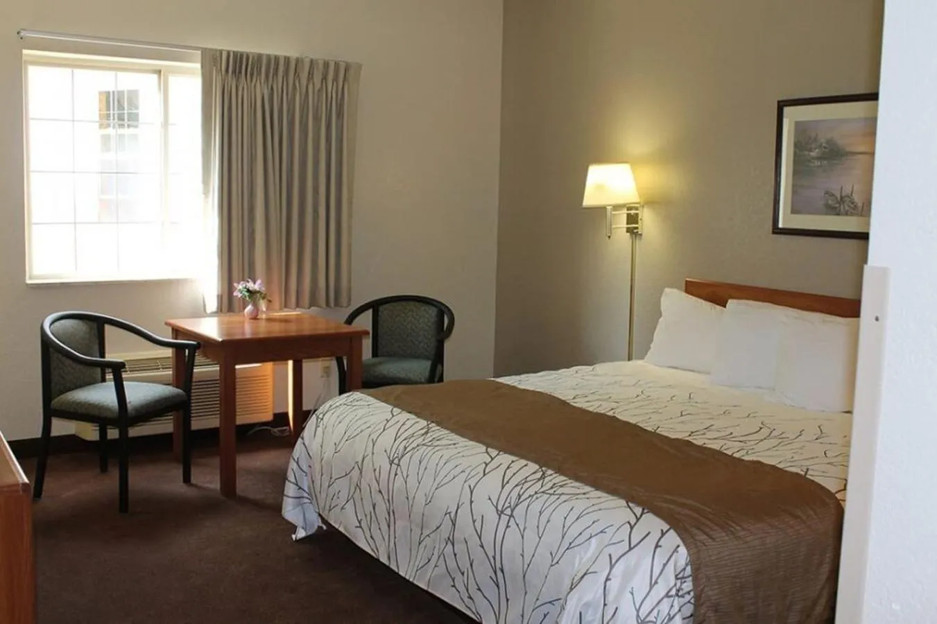 Photo of the whole room, Bed in Edmore Inn