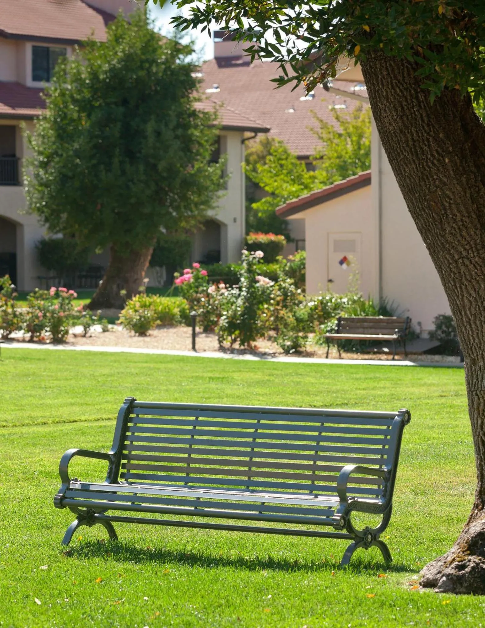 Property building in WorldMark Clear Lake