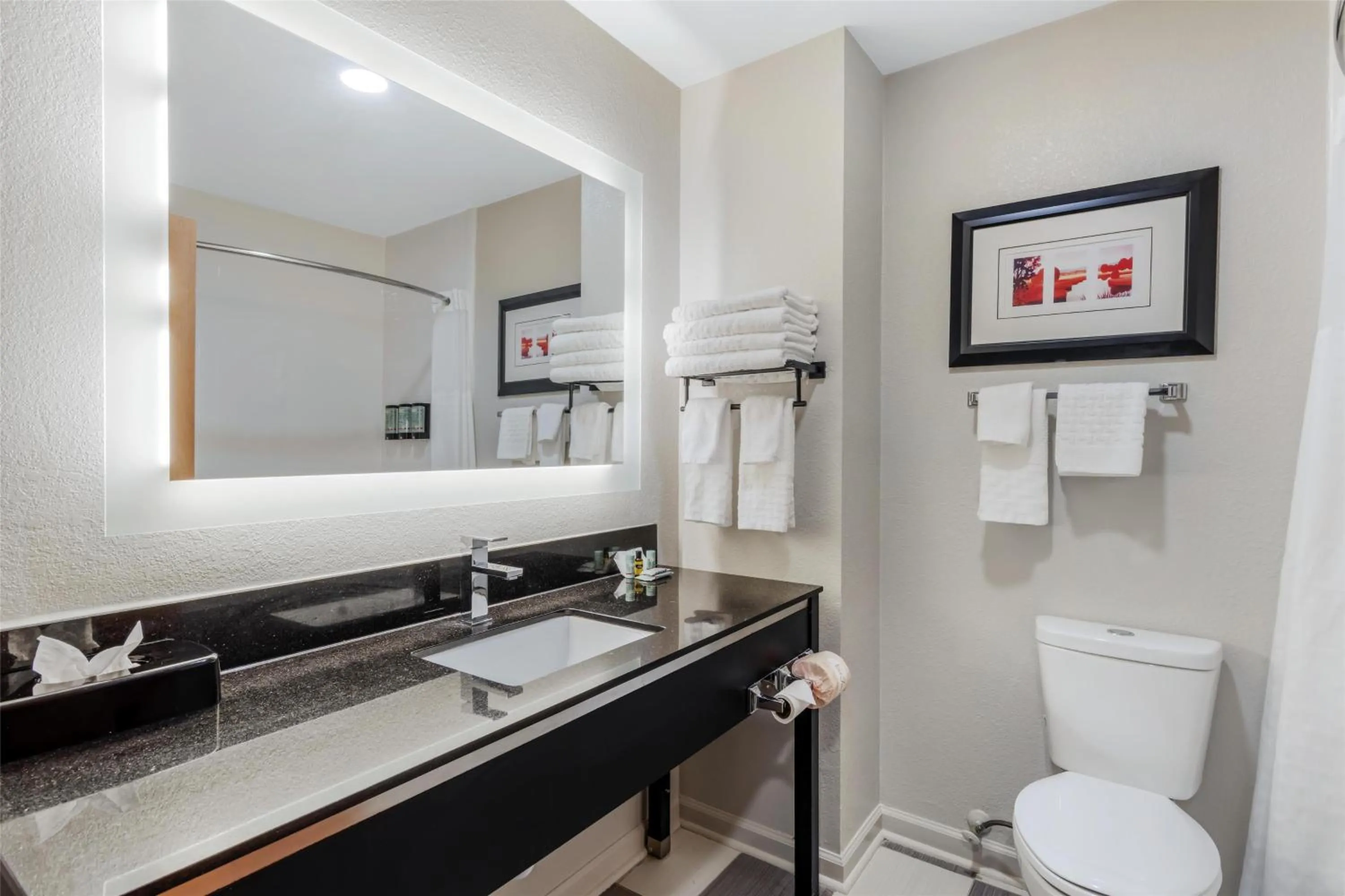 Bathroom in Best Western Commerce Inn