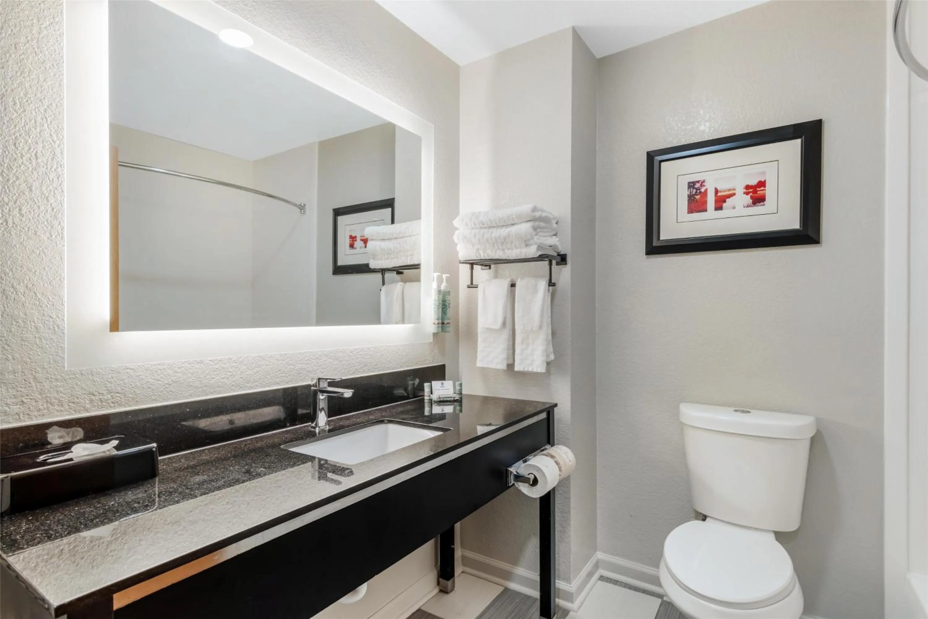 Bathroom in Best Western Commerce Inn