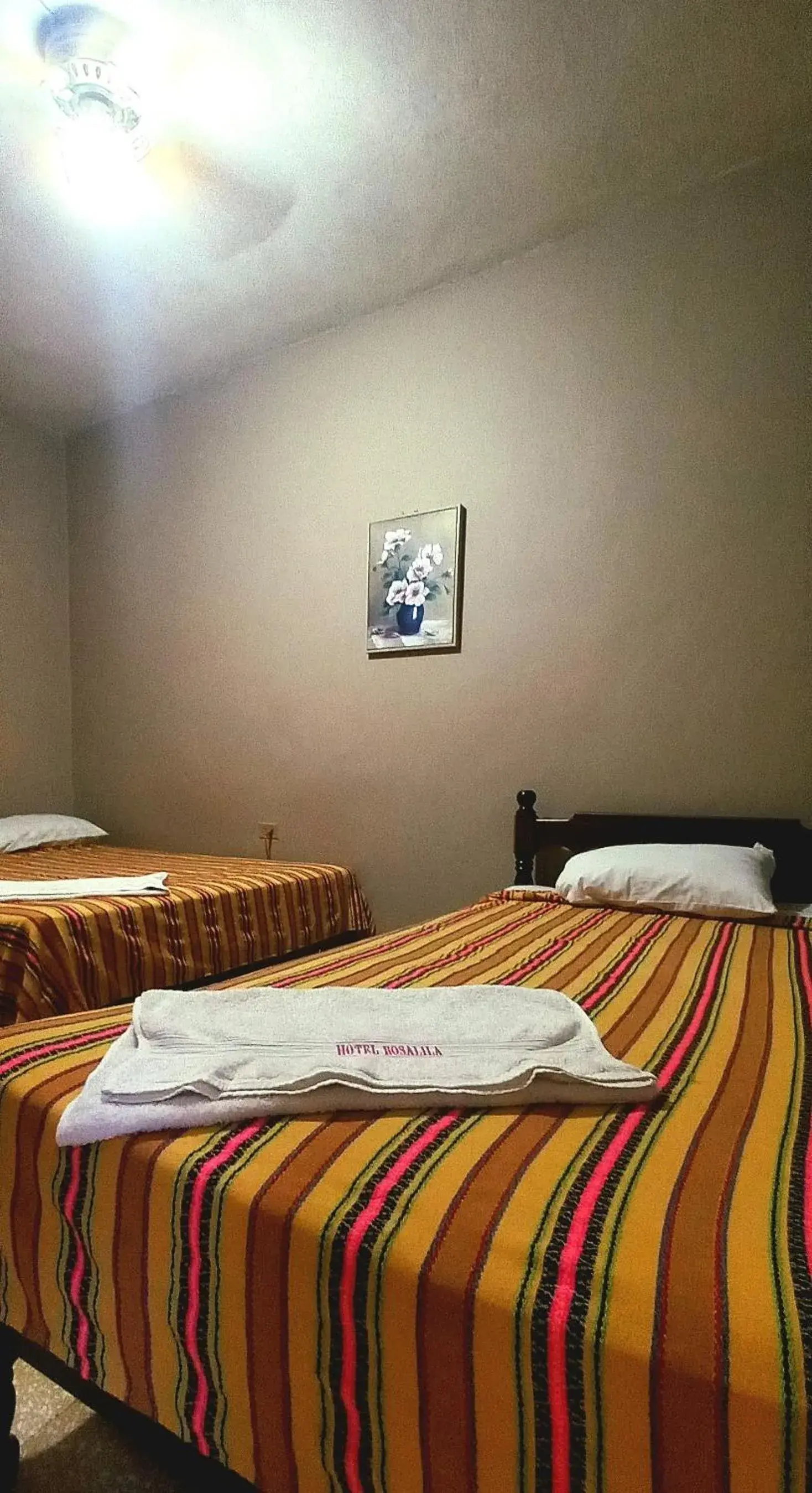 Economy Twin Room - single occupancy in Hotel Rosalila Economy Twin Room - single occupancy in Hotel Rosalila