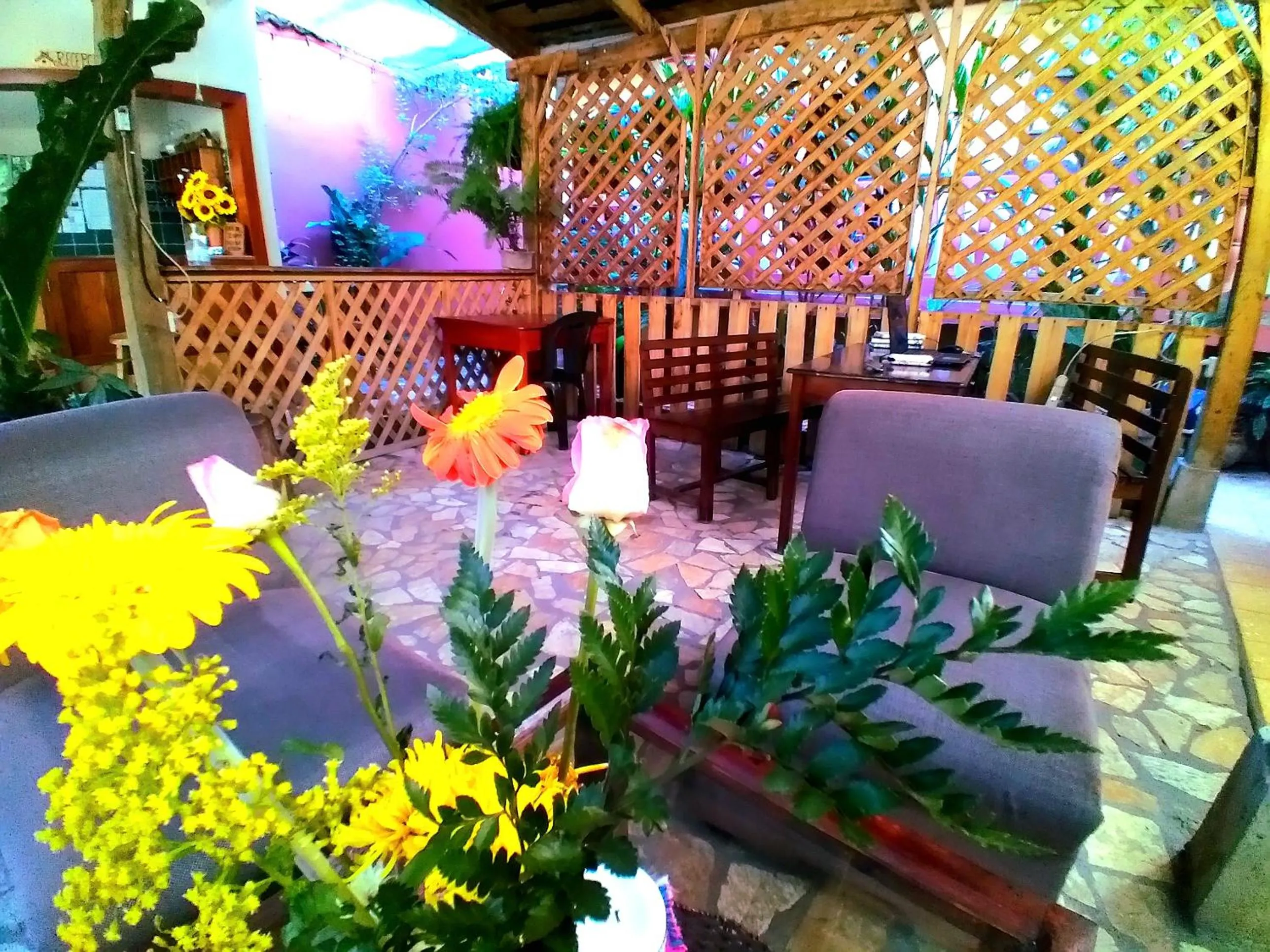 Property building in Hotel Rosalila