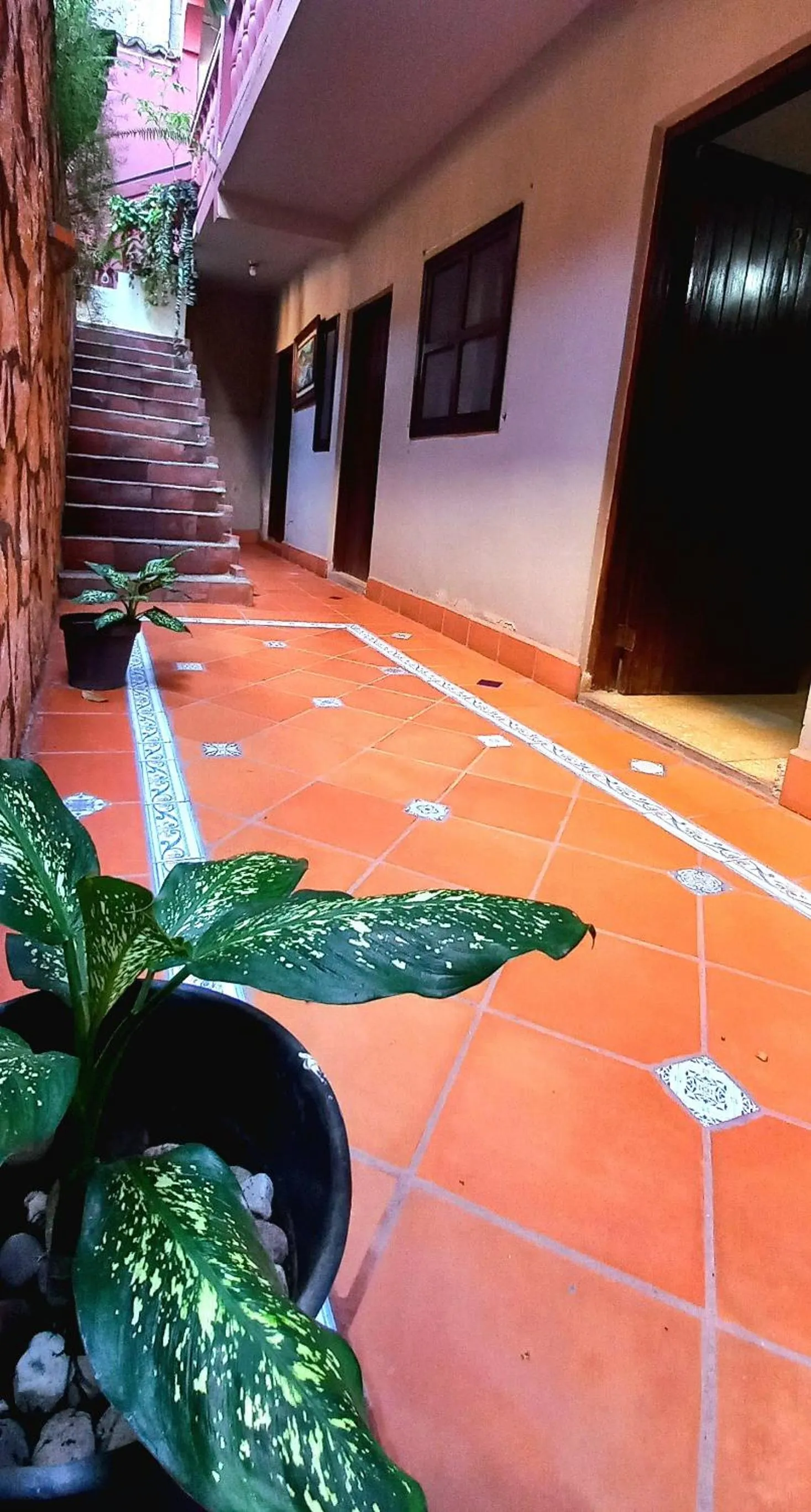 Patio in Hotel Rosalila