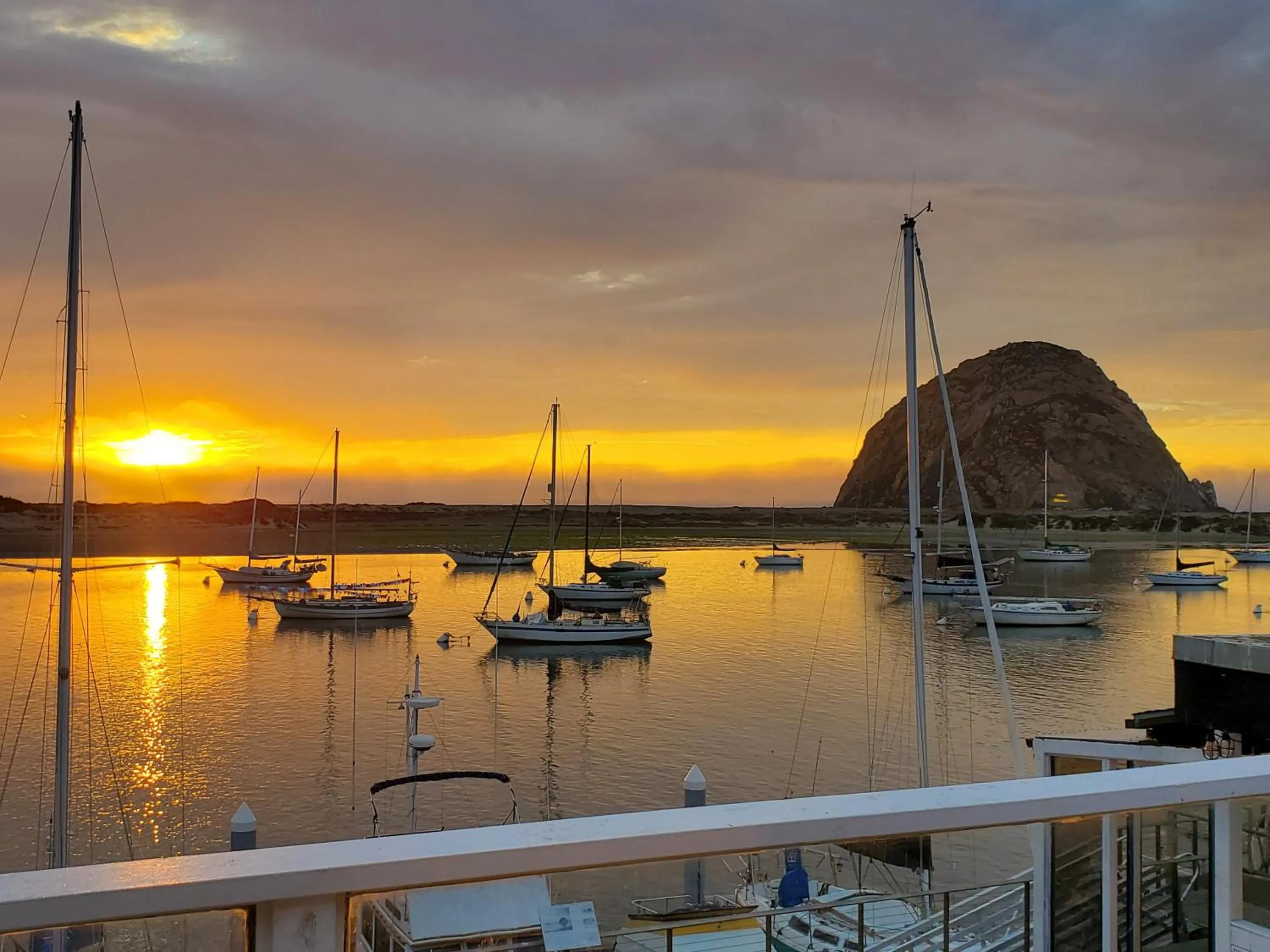 Natural landscape in Gray's Inn & Gallery