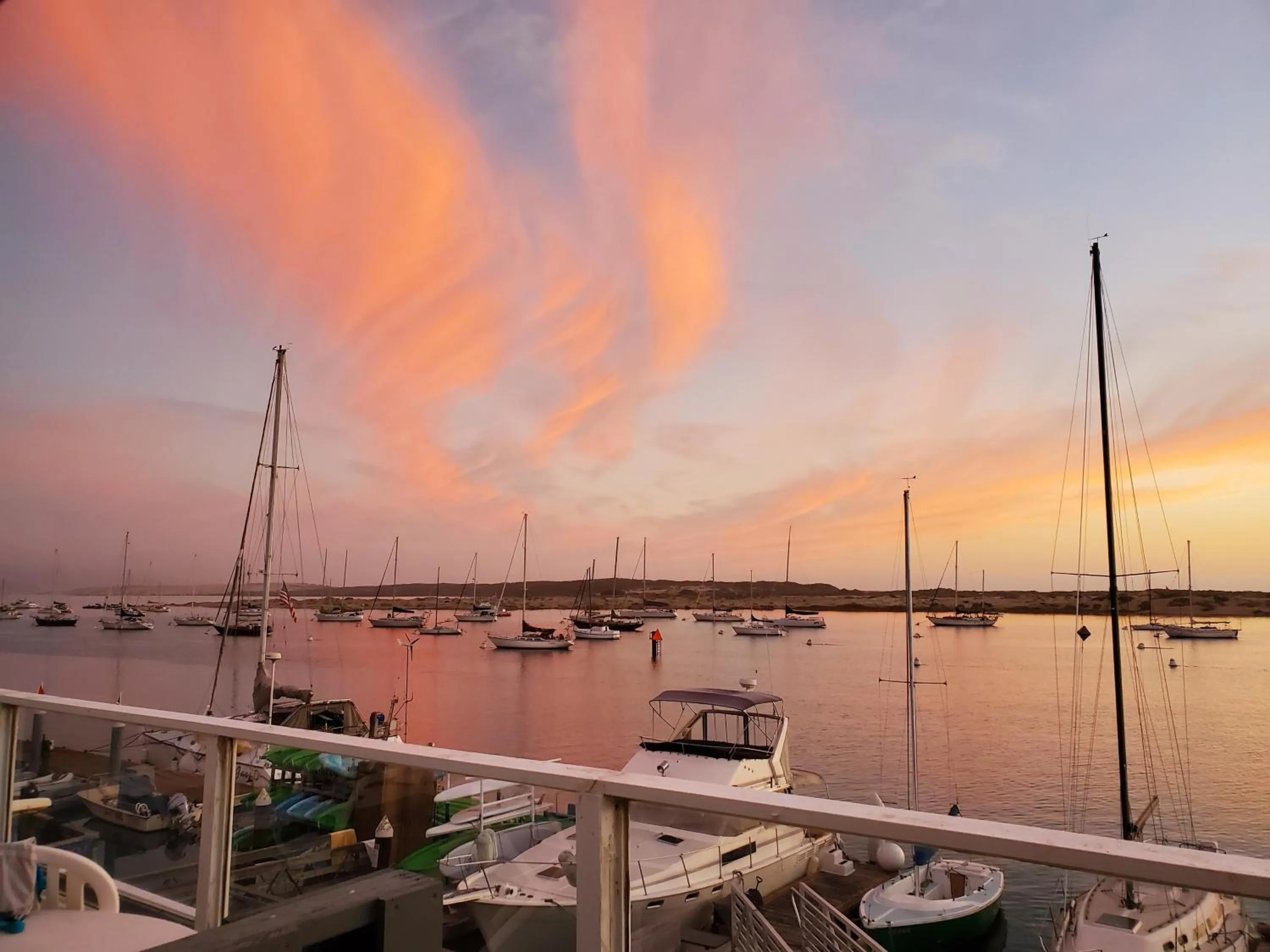 Summer in Gray's Inn & Gallery