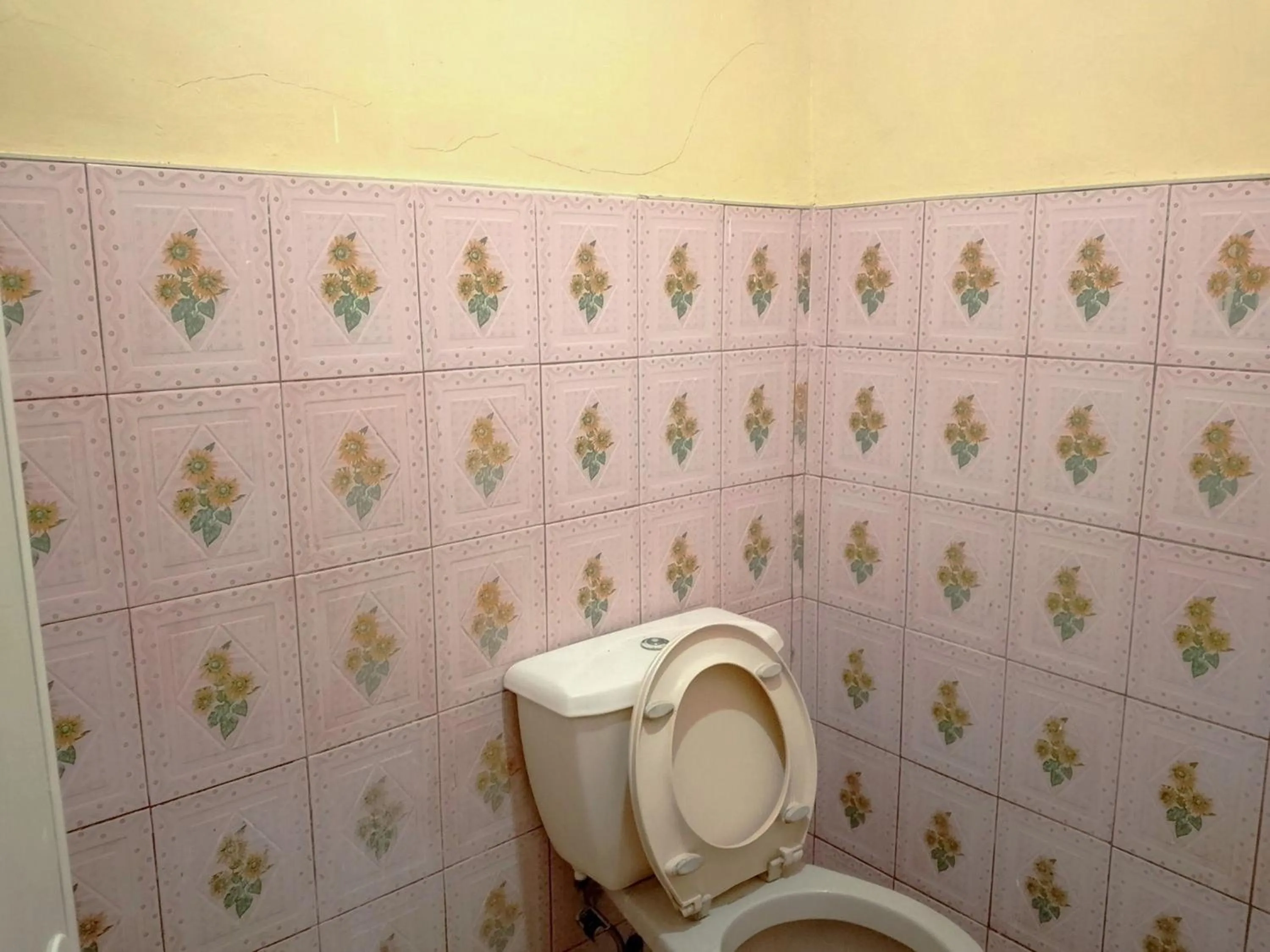 Toilet in July's Haven Seaside Pension Camiguin