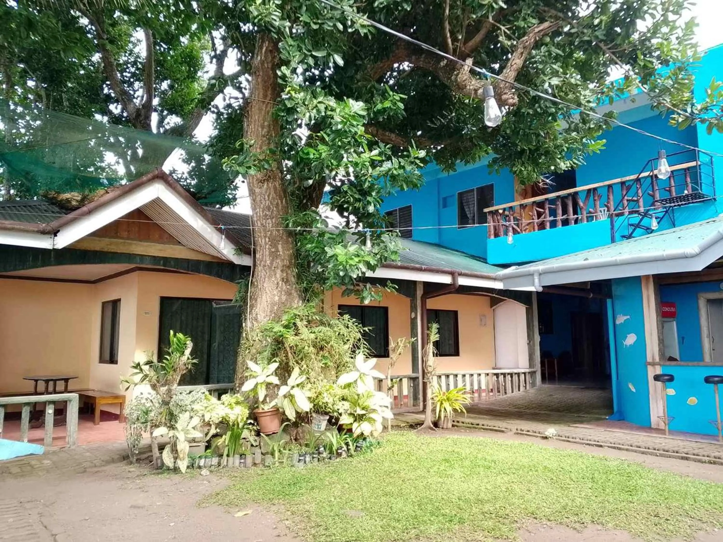 Property building in July's Haven Seaside Pension Camiguin