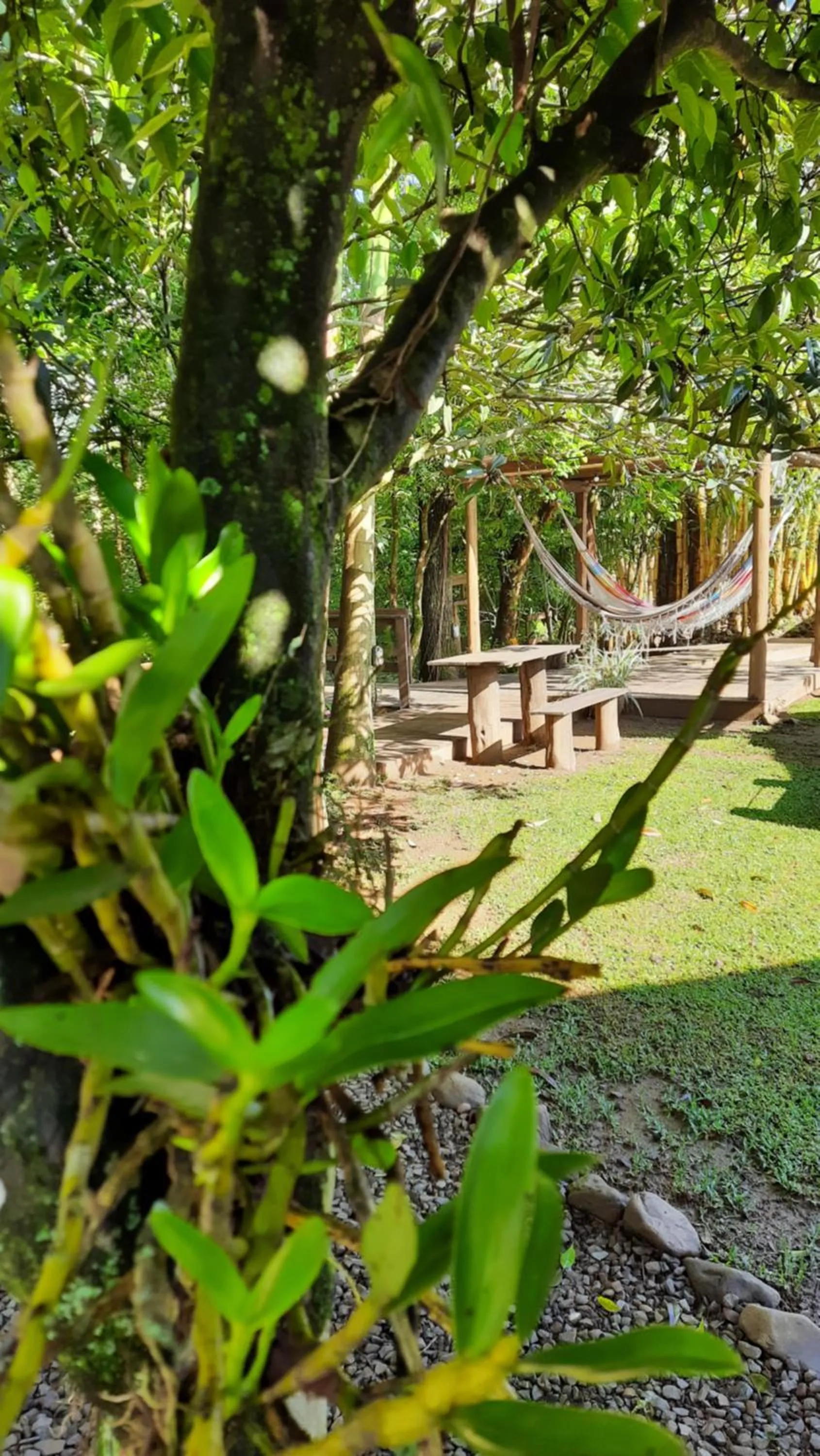 Garden in Pousada Recanto dos Canyons