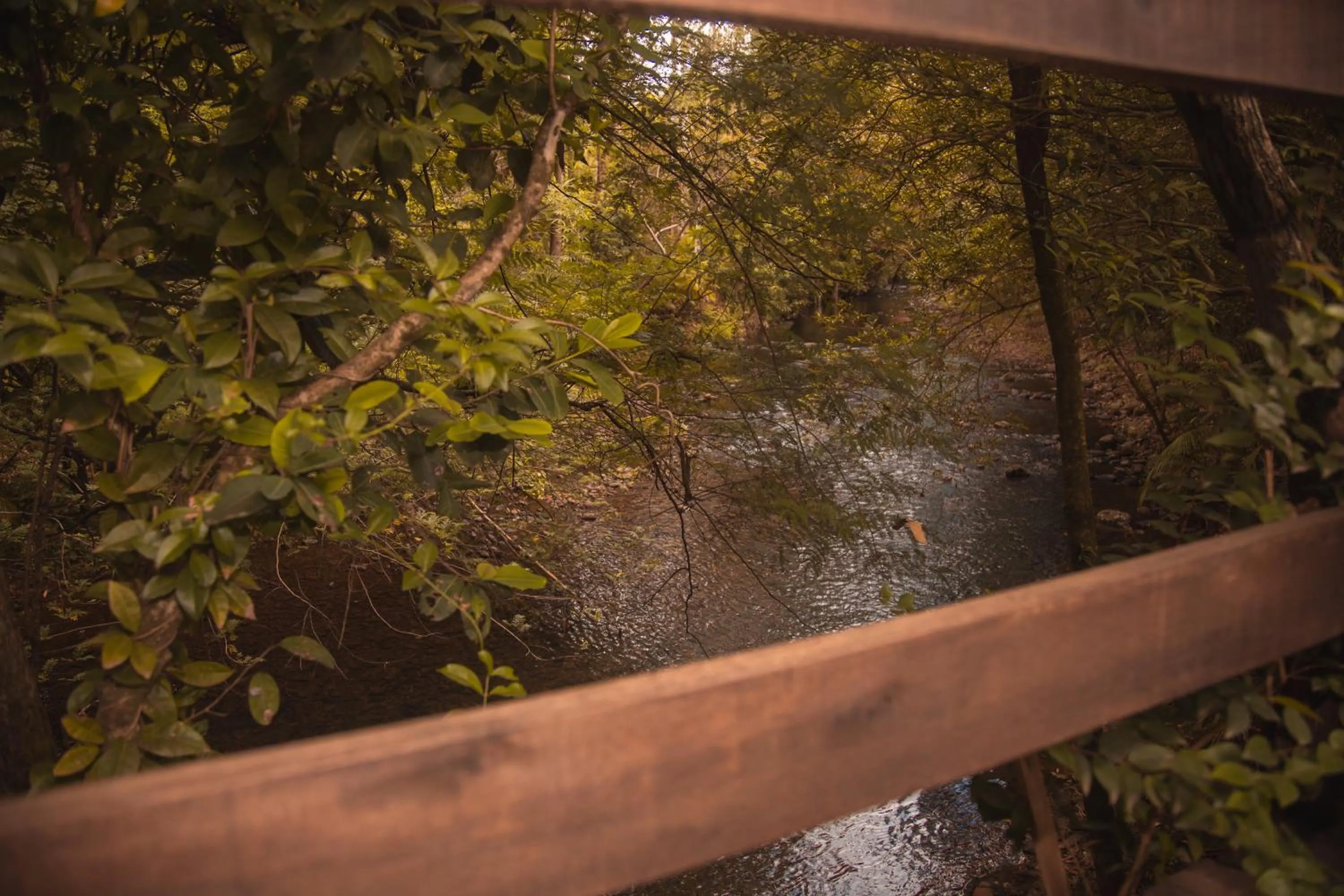 Garden view in Pousada Recanto dos Canyons