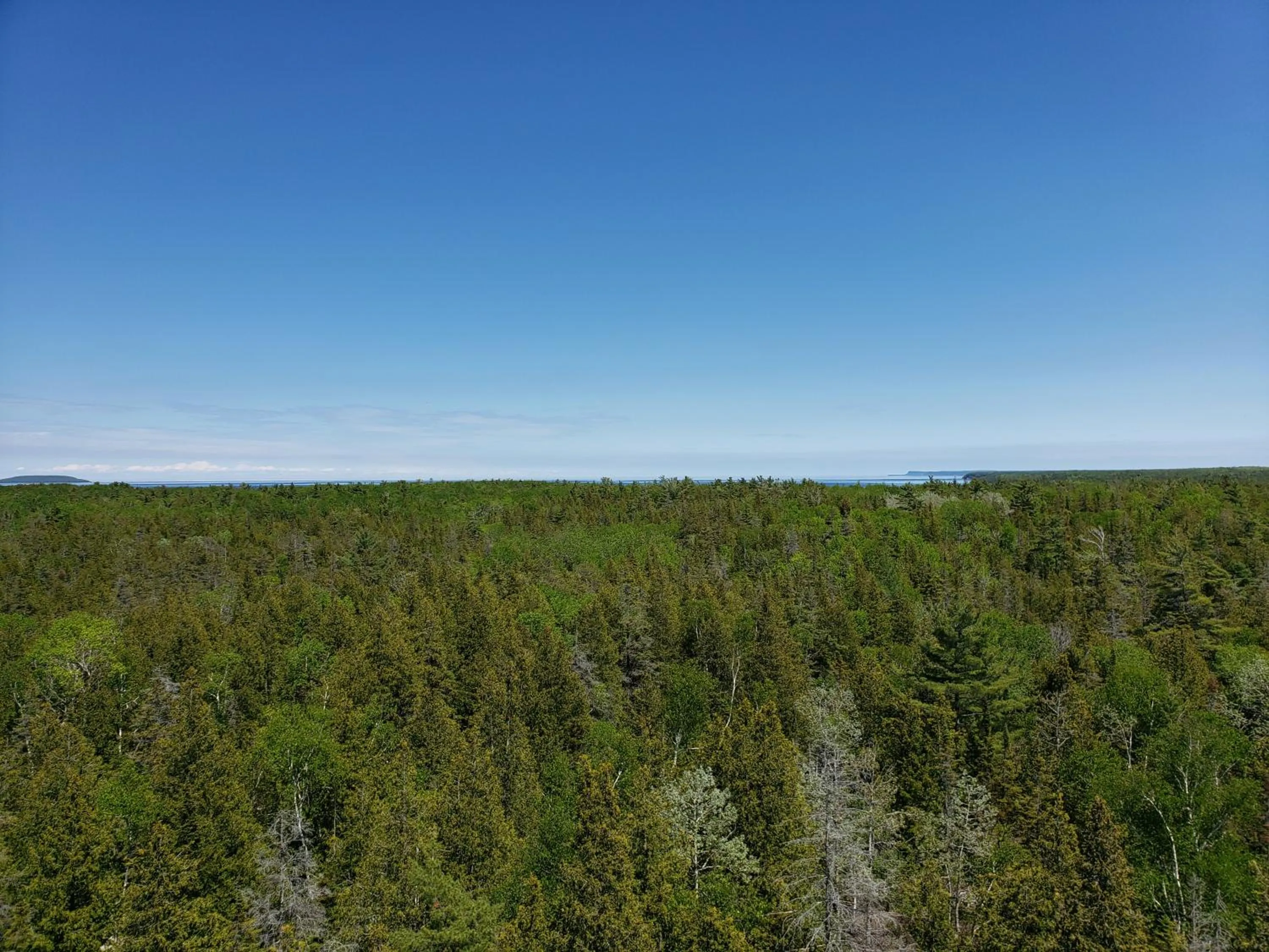 Natural landscape in Hepworth Hostel