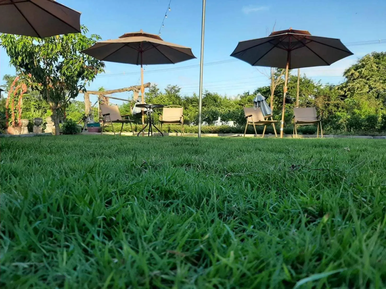 Restaurant/places to eat in Rapeepat Residential and Resort