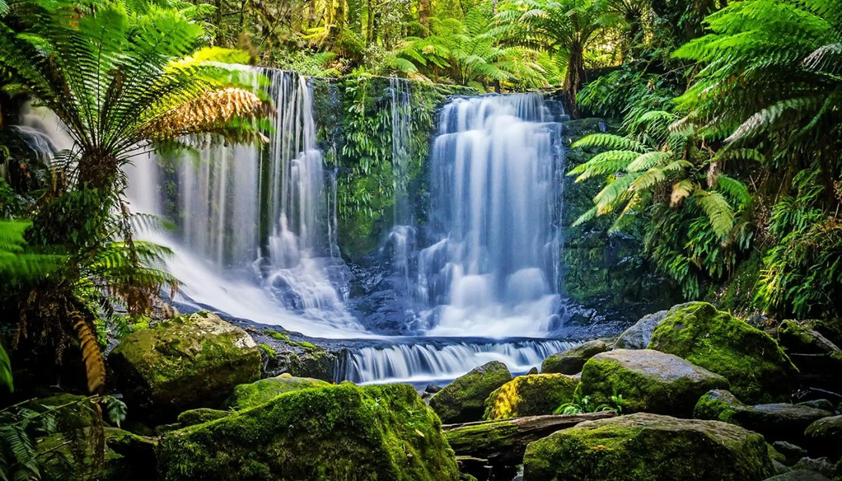 Nearby landmark in Domescapes in the Vines