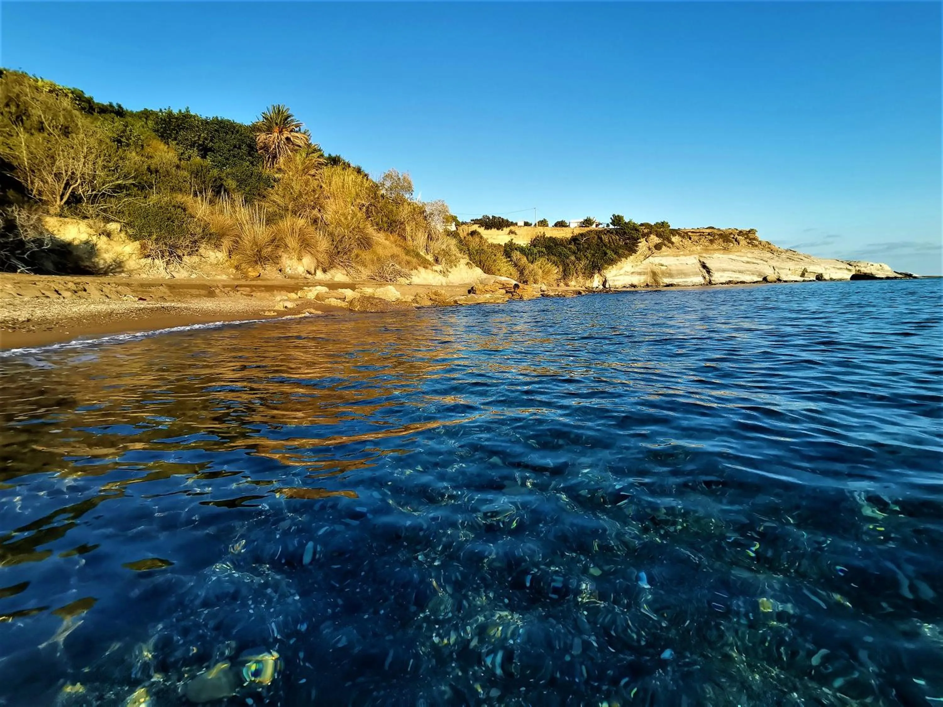 Beach in New Aurora Apts Studios