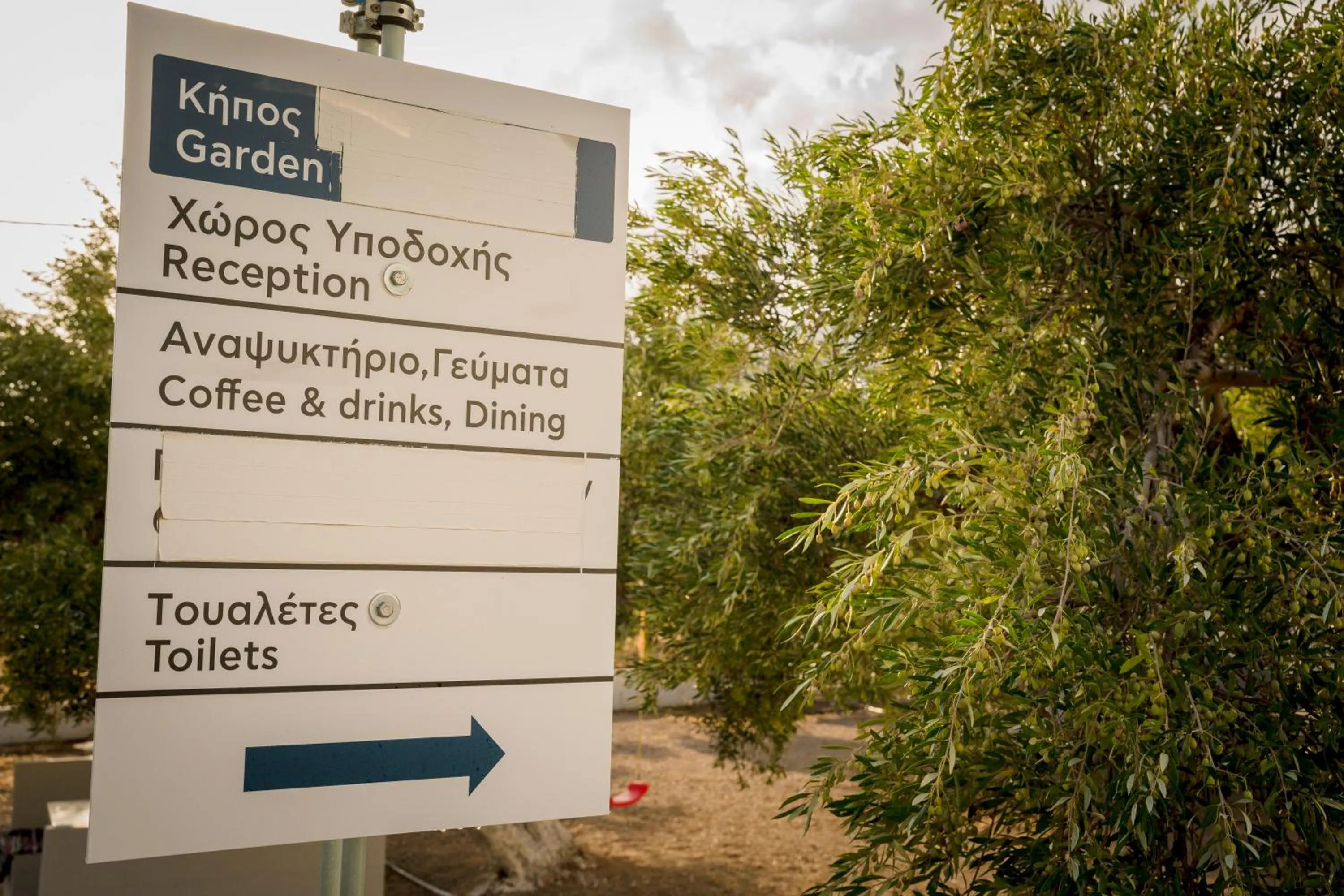 Restaurant/places to eat in New Aurora Apts Studios