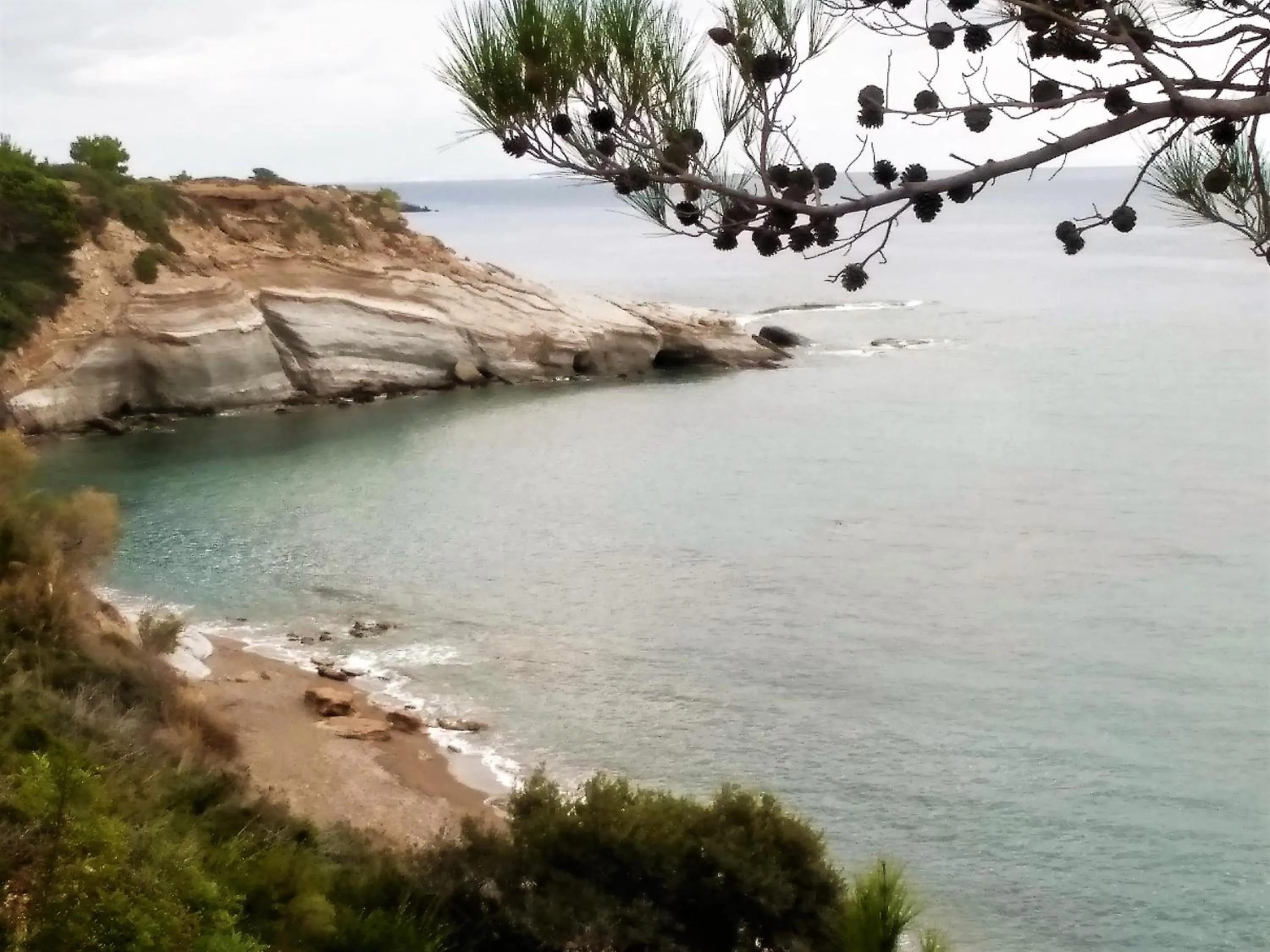 Beach in New Aurora Apts Studios
