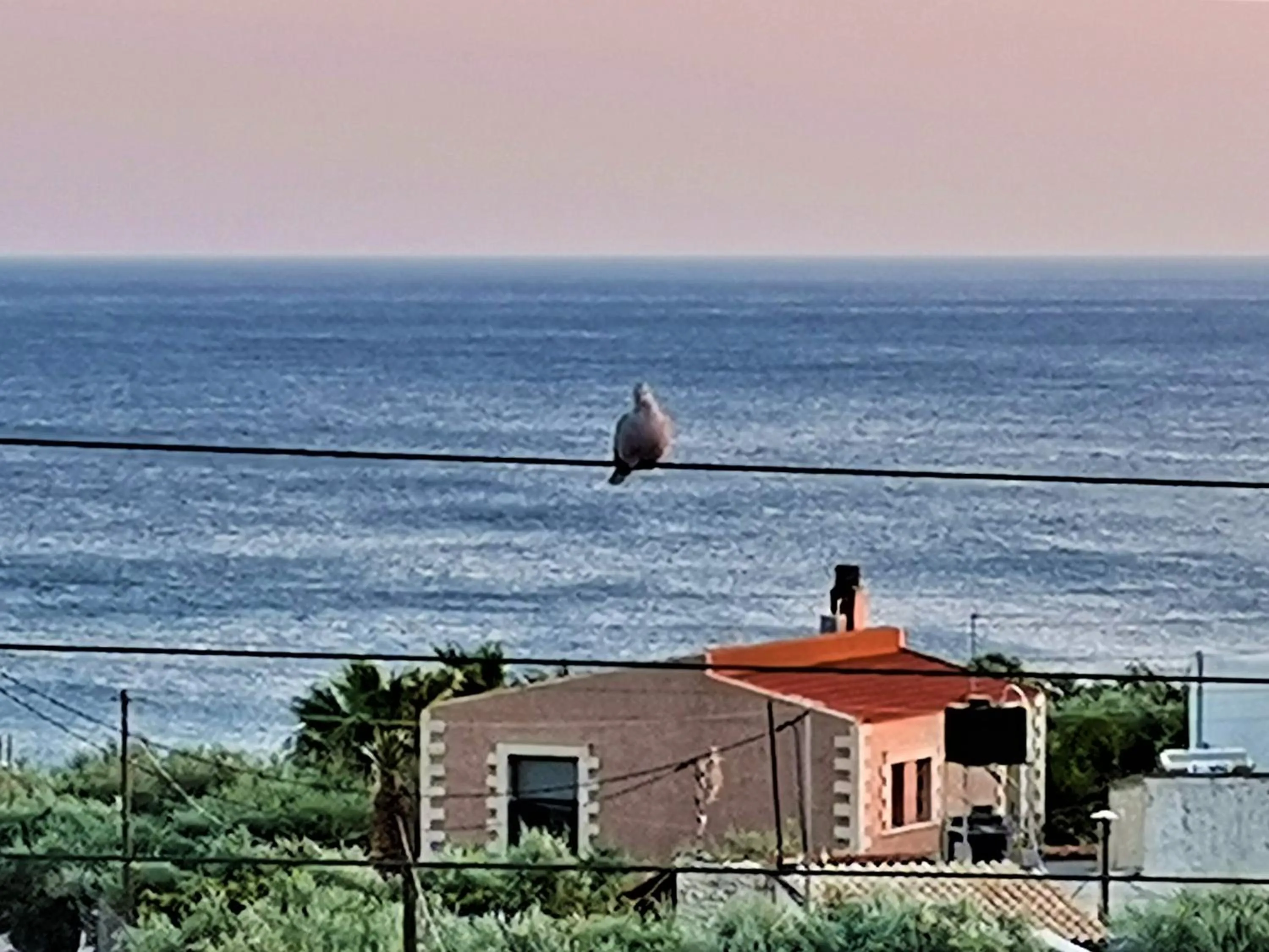 Location in New Aurora Apts Studios