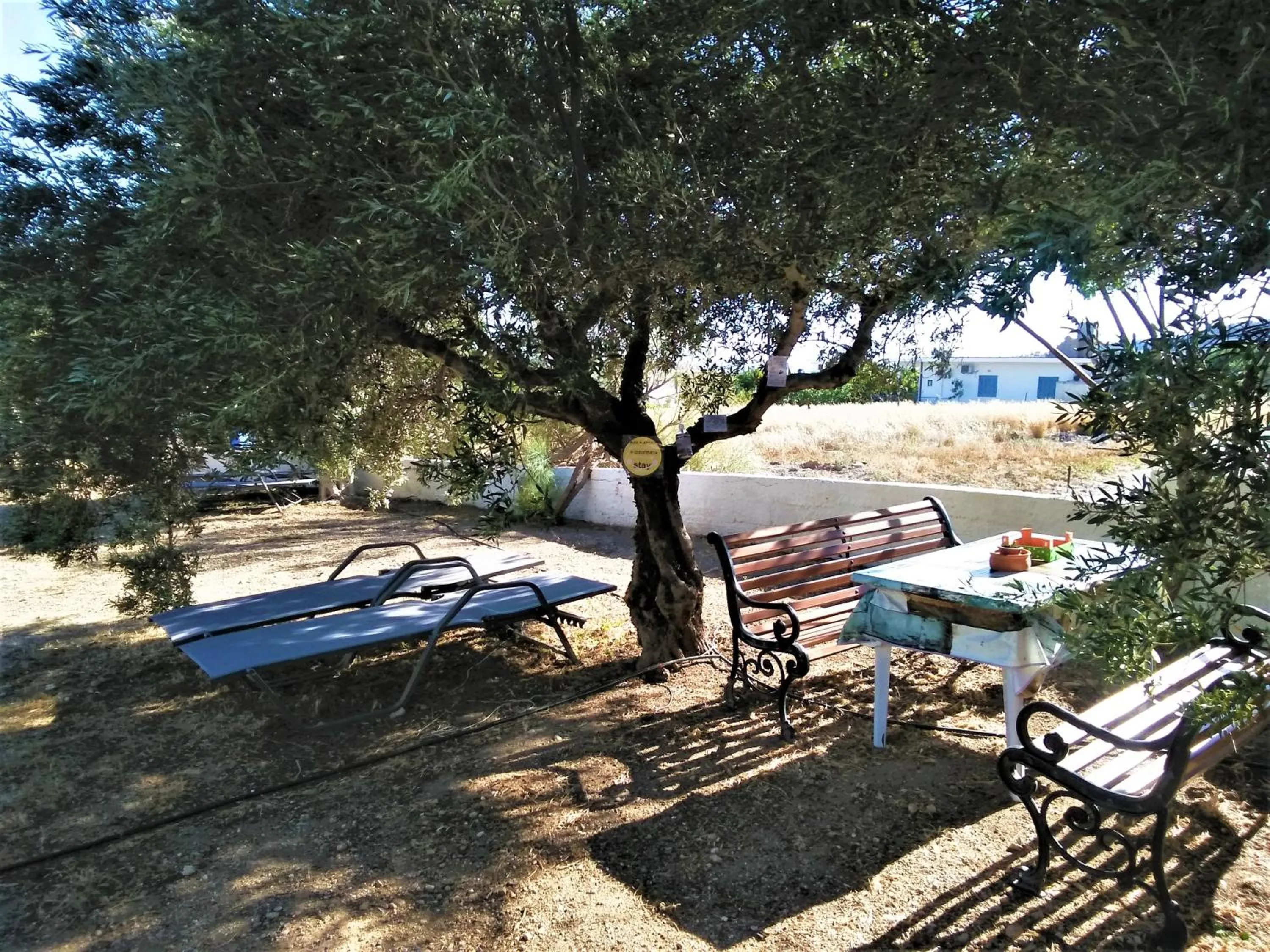 Property building in New Aurora Apts Studios