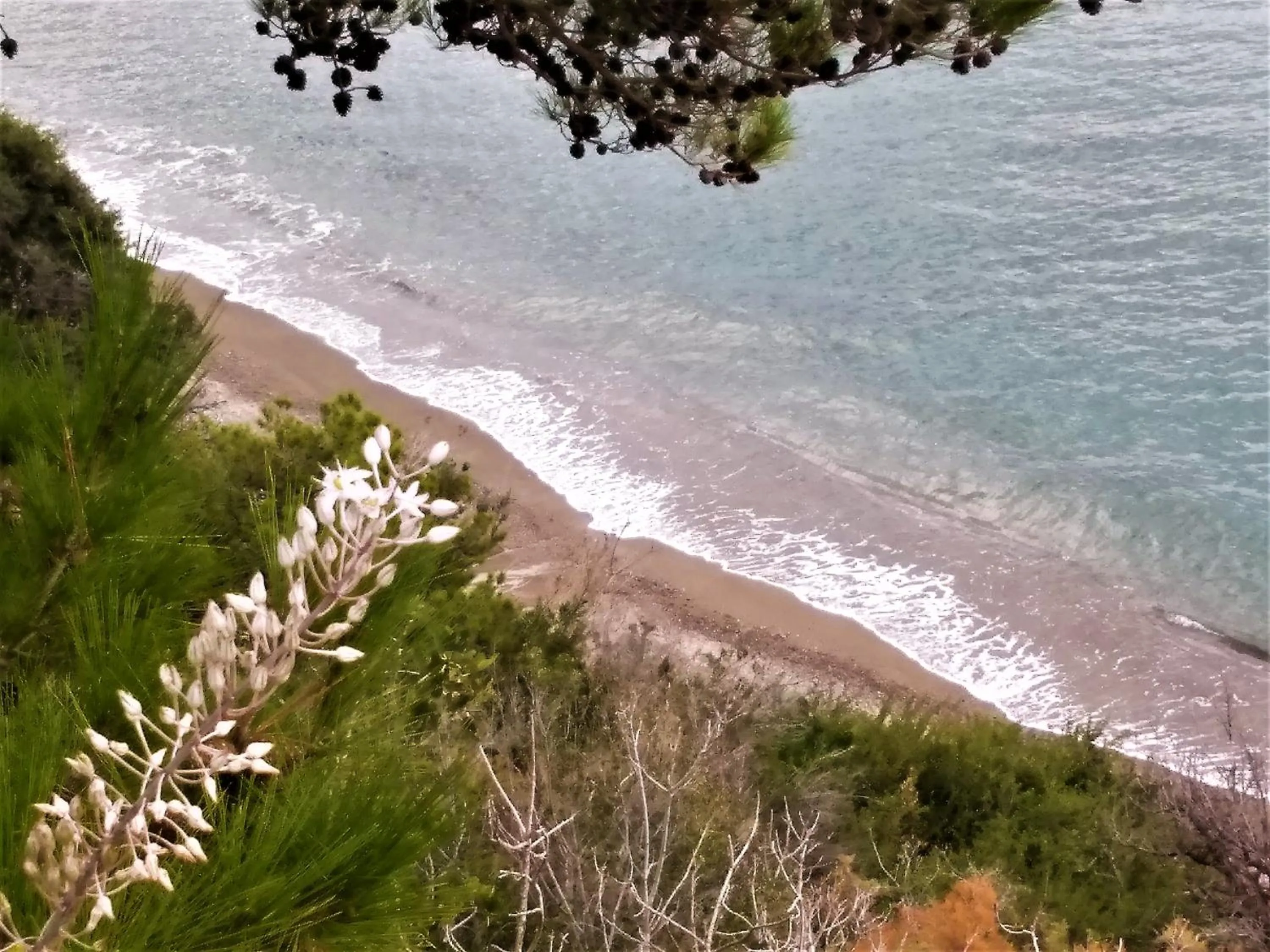 Beach in New Aurora Apts Studios