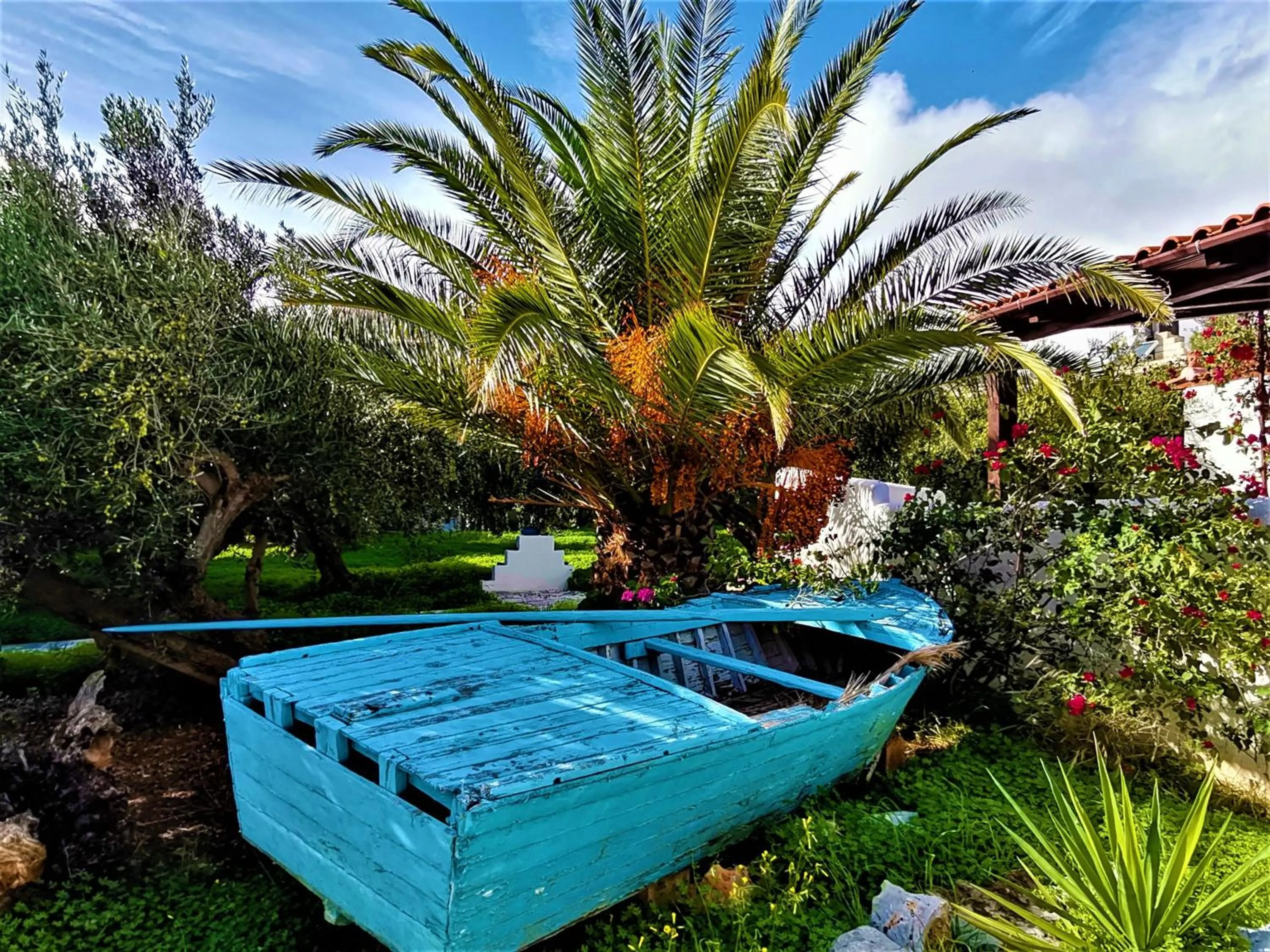 Location in New Aurora Apts Studios