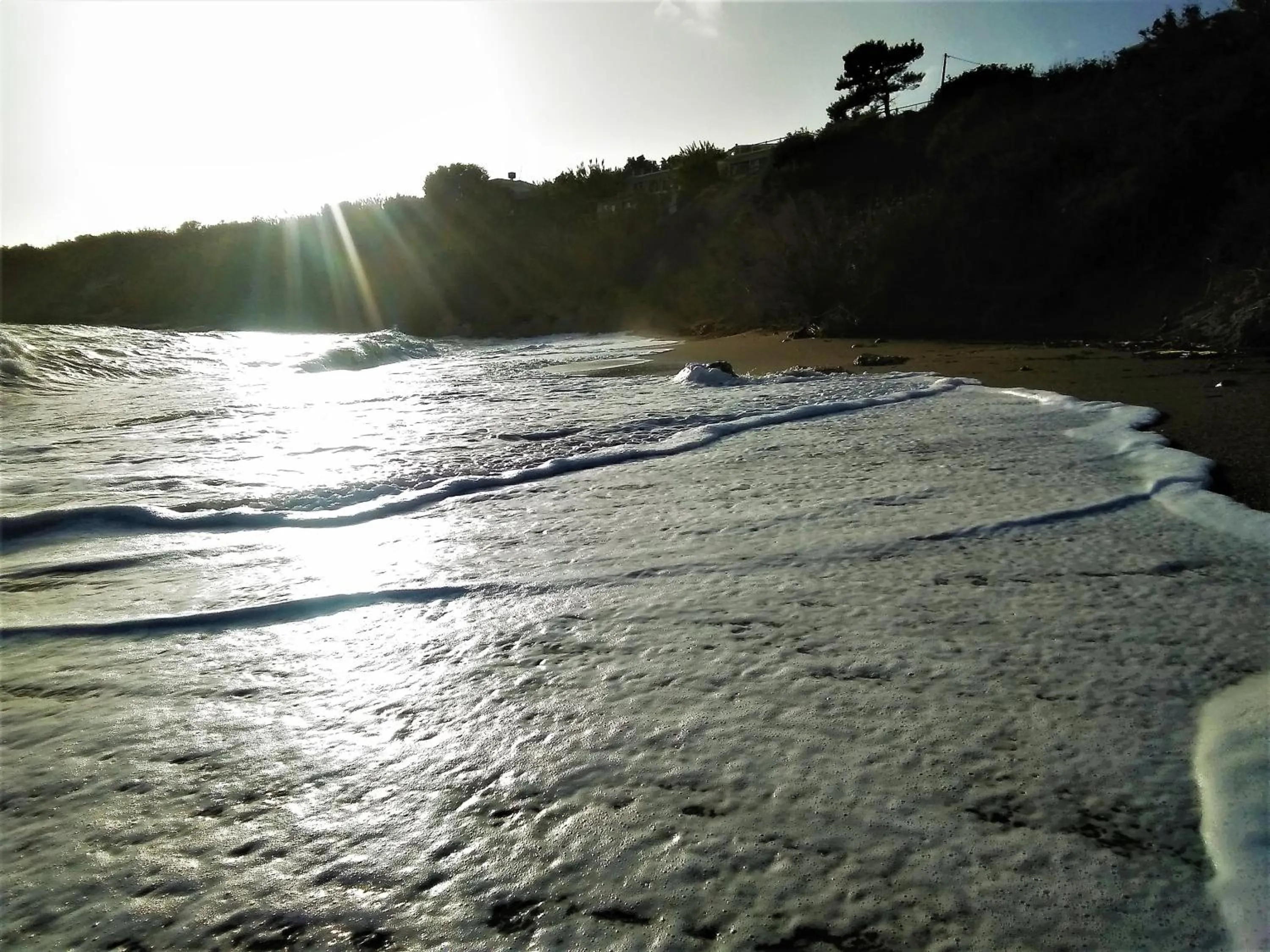Beach in New Aurora Apts Studios