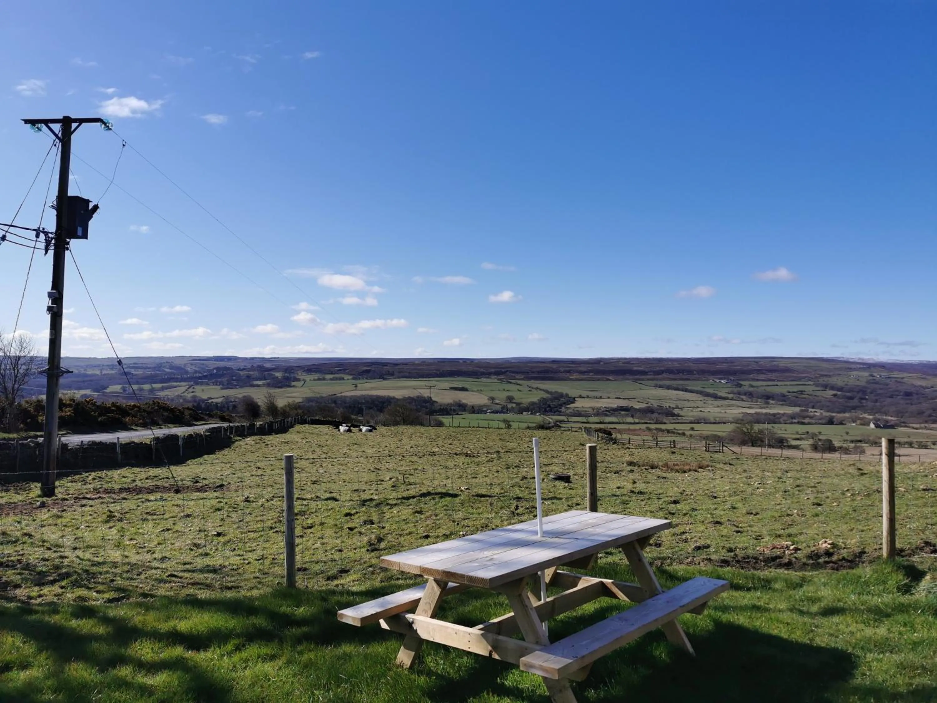 Garden in The Manor House Inn