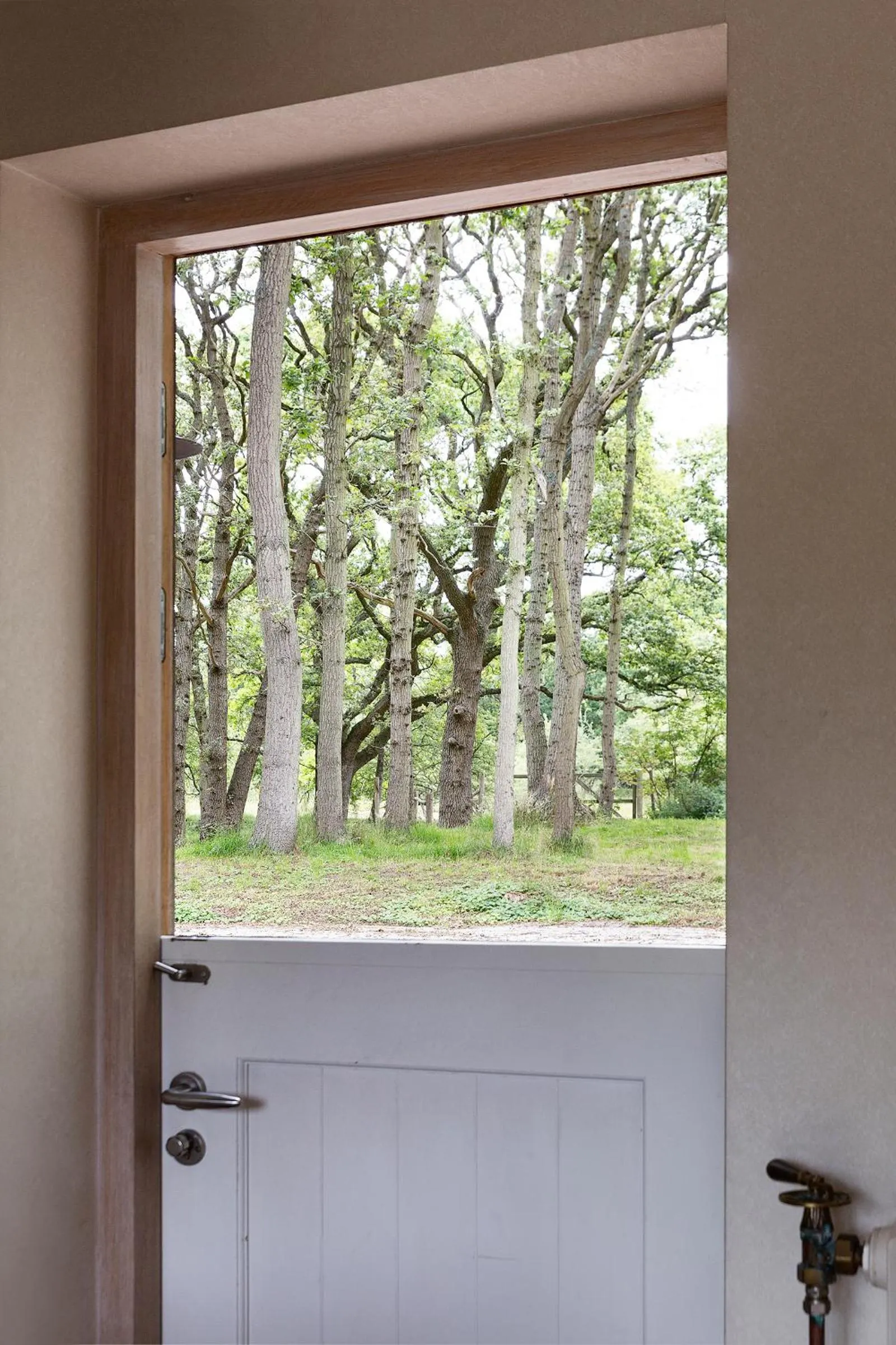 kitchen in Bosvilla Kennemerduinen