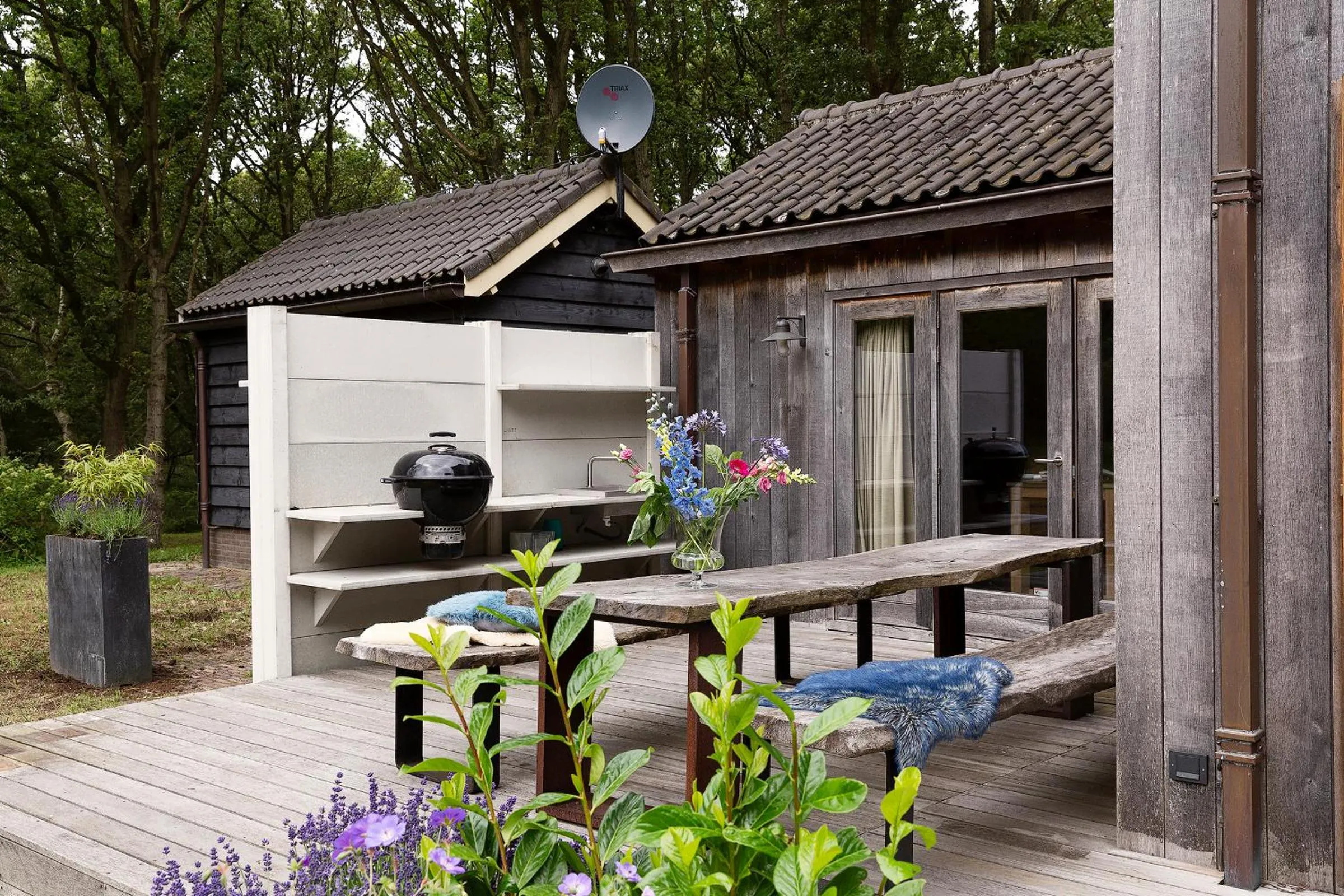 Patio in Bosvilla Kennemerduinen