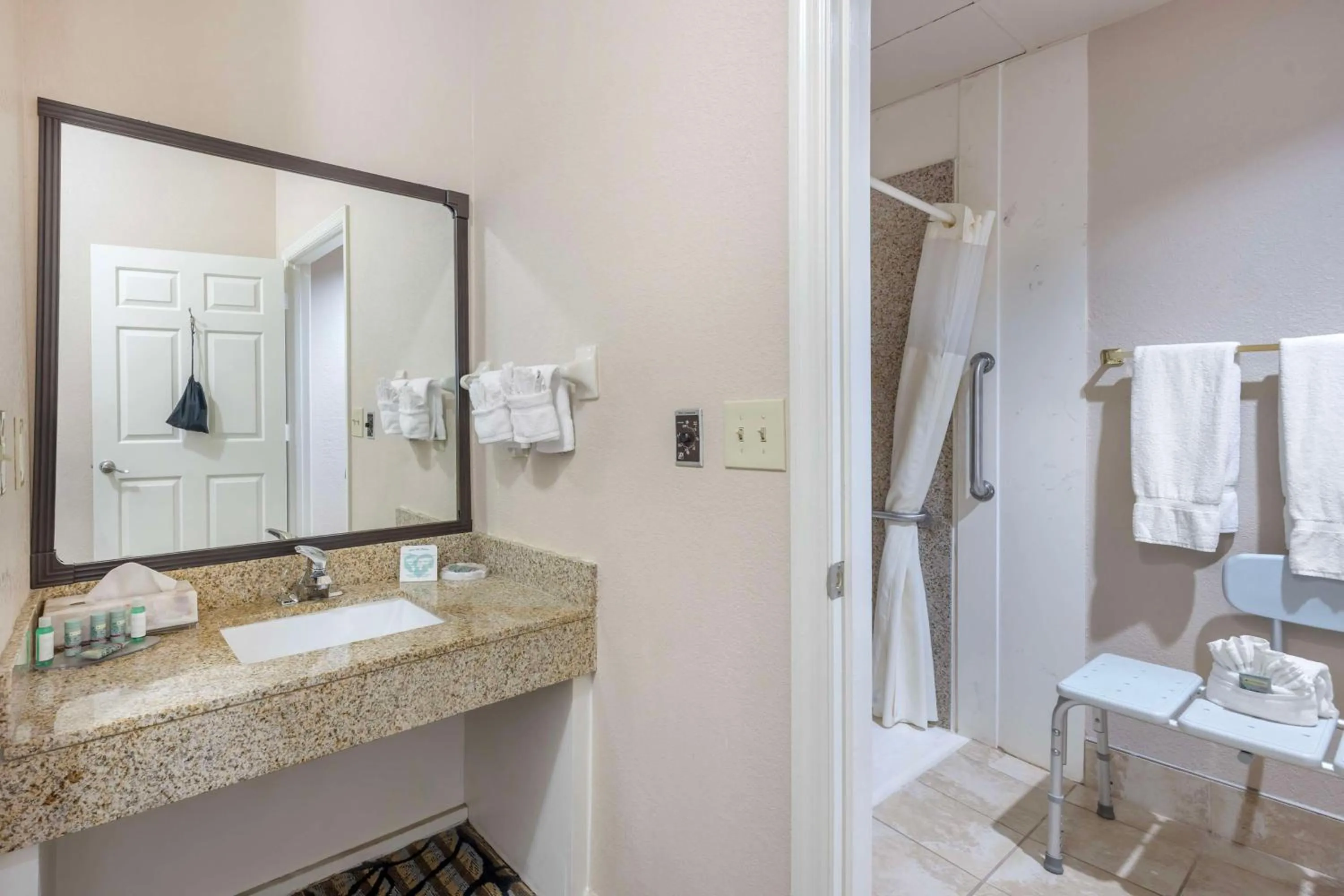 Bathroom in Best Western Spring Hill Inn & Suites