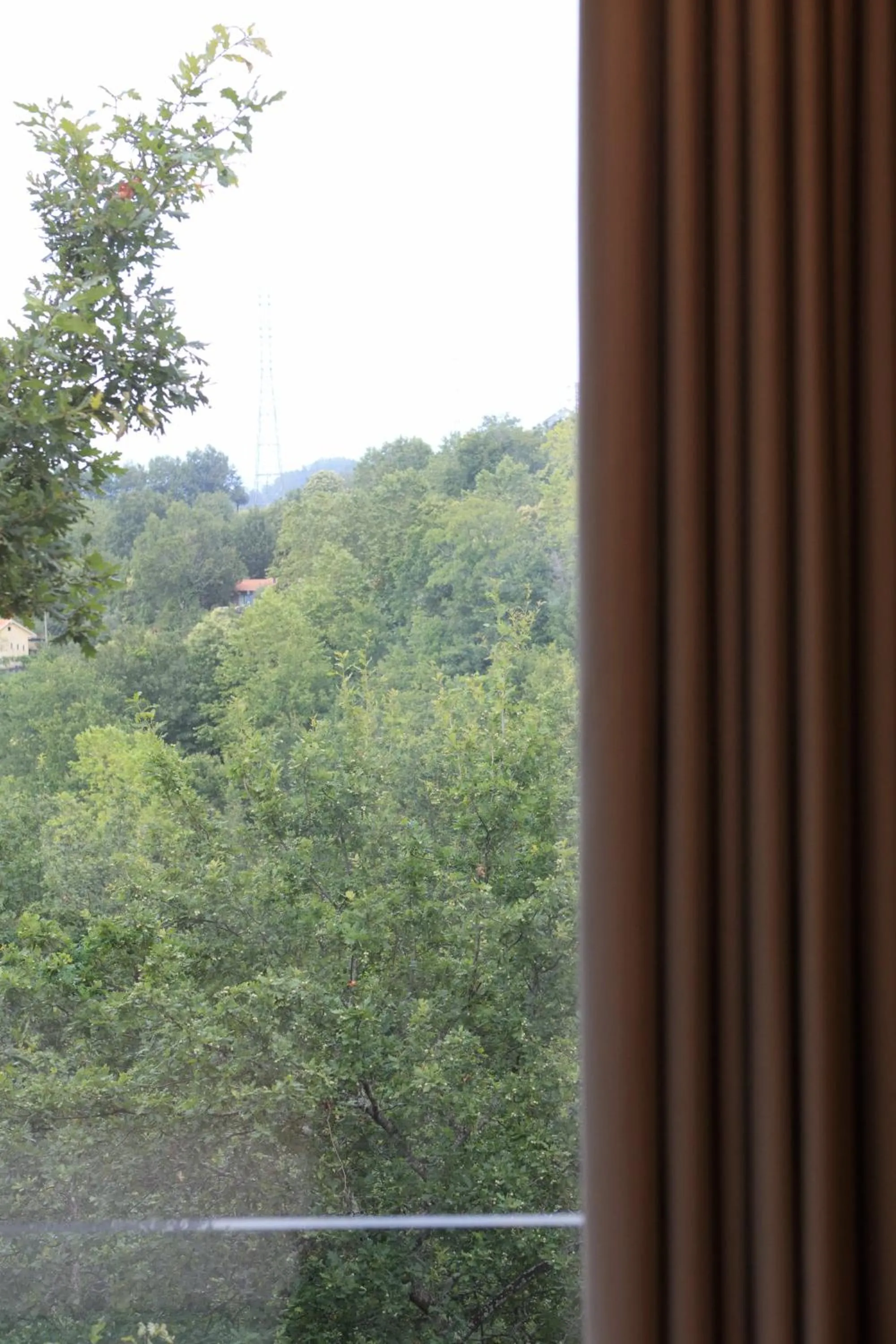 Natural landscape in Oak Nature